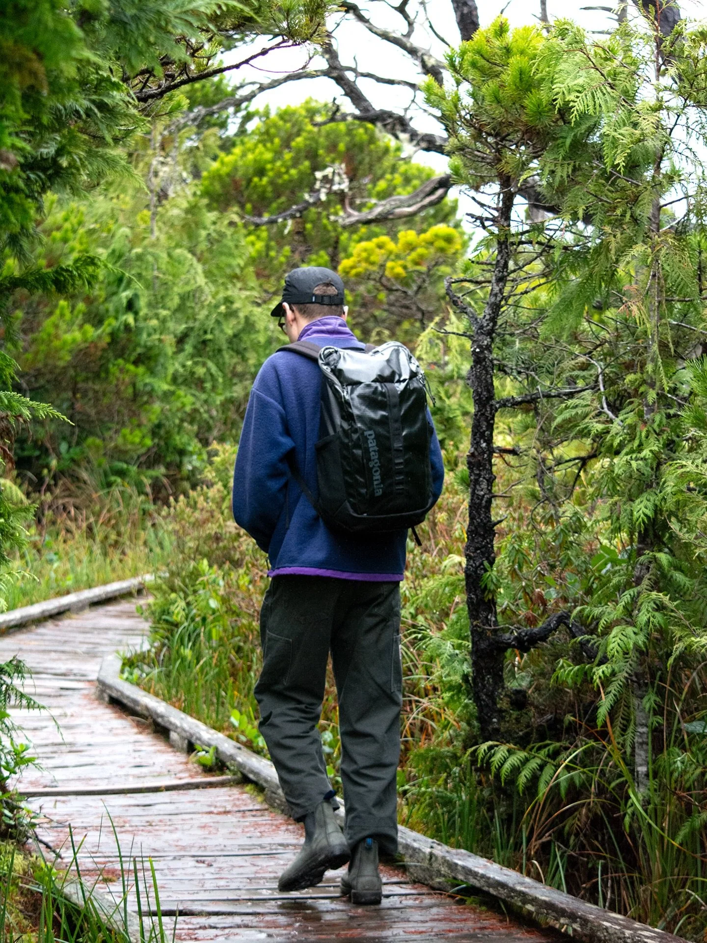 Exploring Shorepine Bog 📸🌲