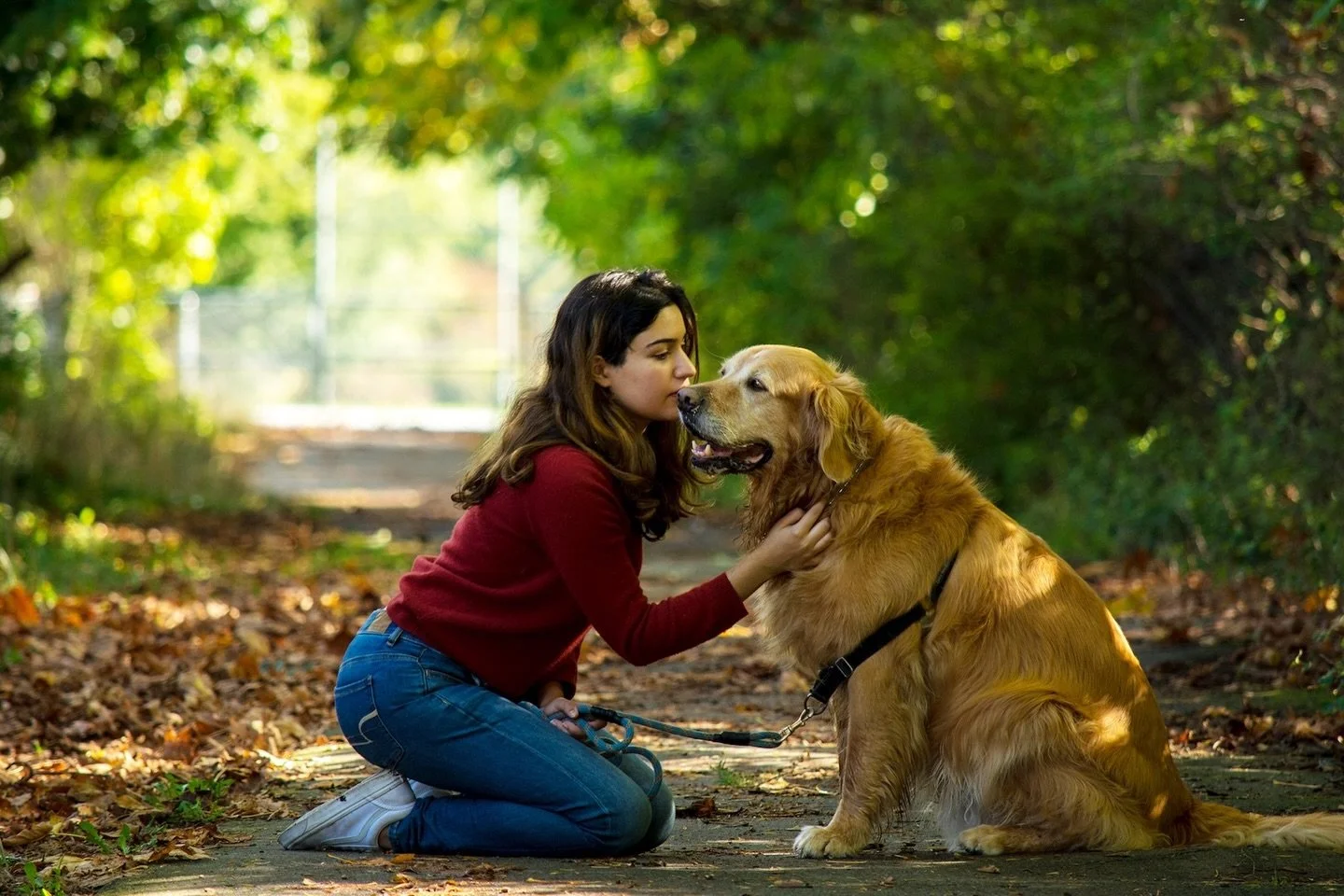 Kicking off the week with a throwback photo! Sarah asked if I would take some photos of her with her dog, Buddy. This was my favourite from the photoshoot we did in Victoria. 

⭐️ Scheduling Update ⭐️ I&rsquo;m all booked up for photoshoots this week