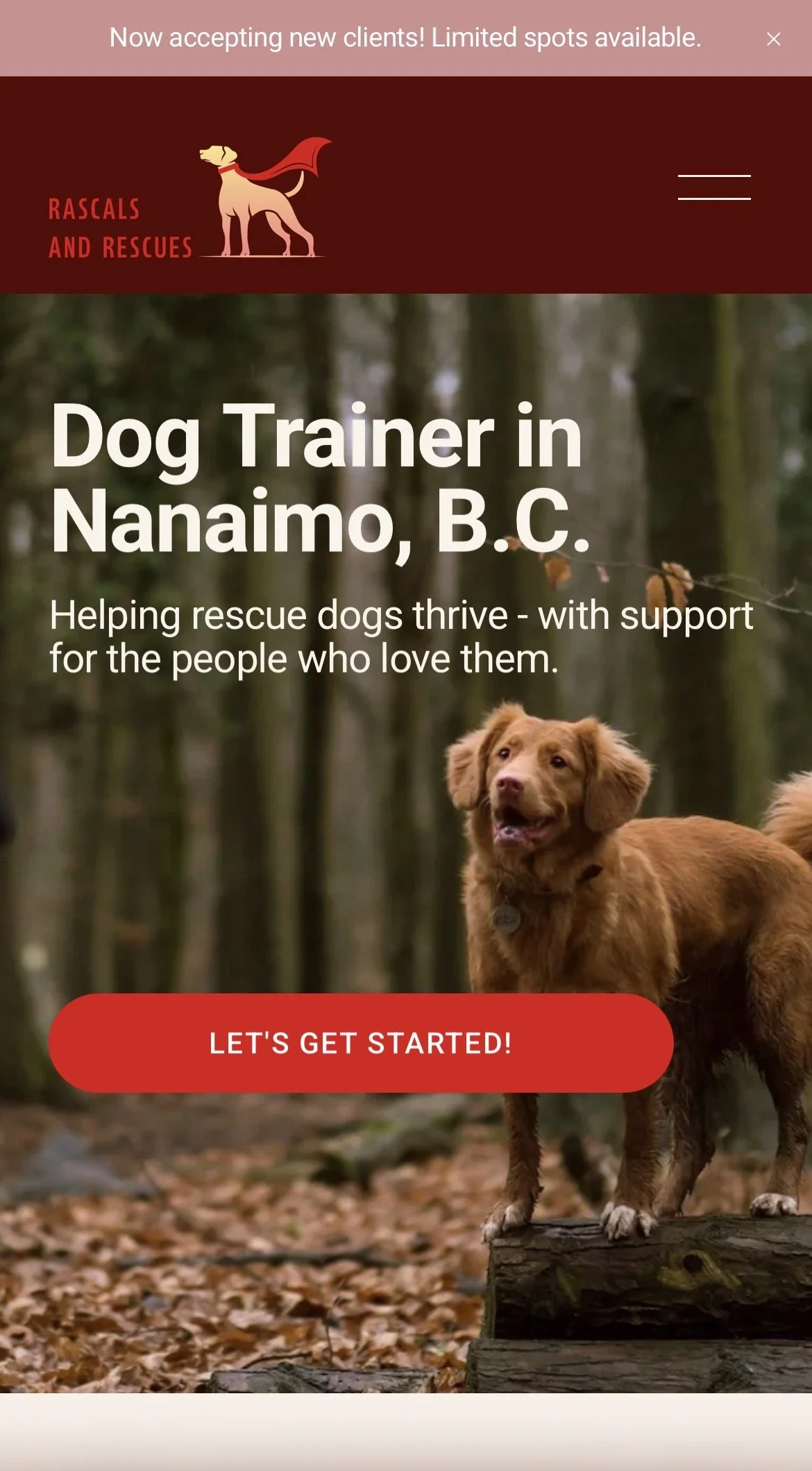 Rascals & Rescues Website