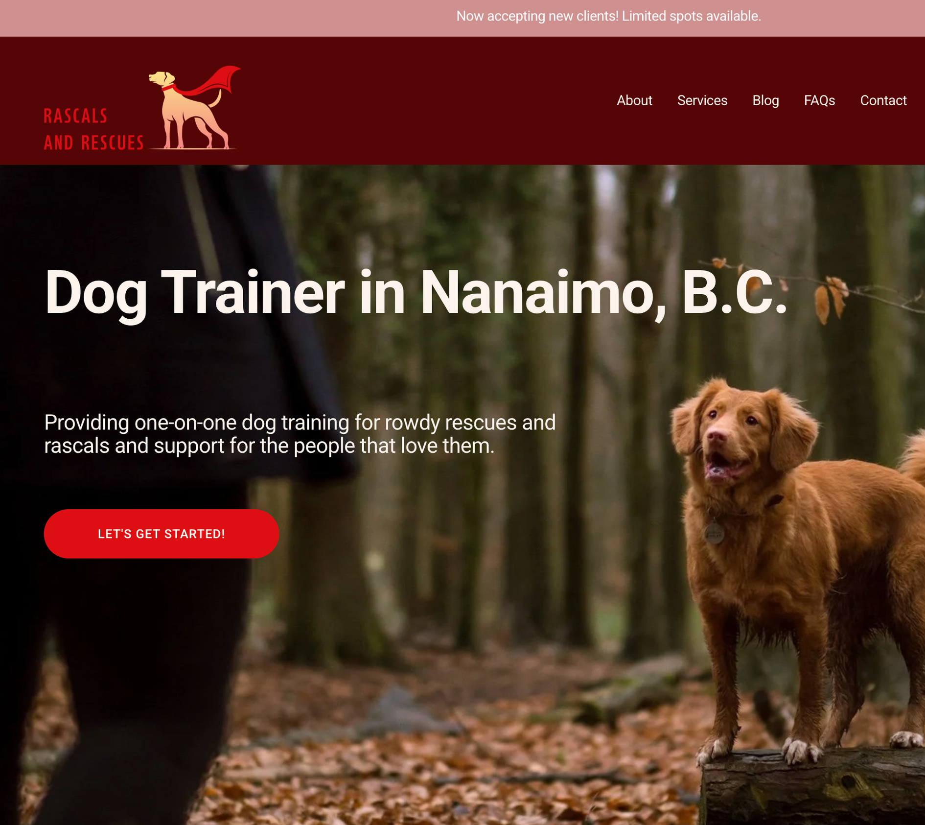 Screenshot of the homepage of a dog training website.