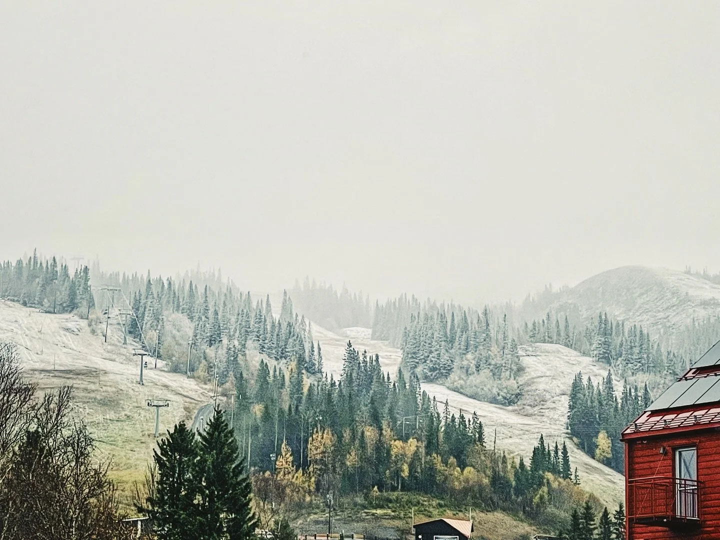 Vintern 2025 2026 har aldrig k&auml;nts n&auml;rmre! Snart g&ouml;r vi stora sv&auml;ngar i Hamrebacken igen, det &auml;r inte l&aring;ngt kvar! ⛷️ #skid&aring;kning #vinter #sn&ouml; #&aring;re #duved