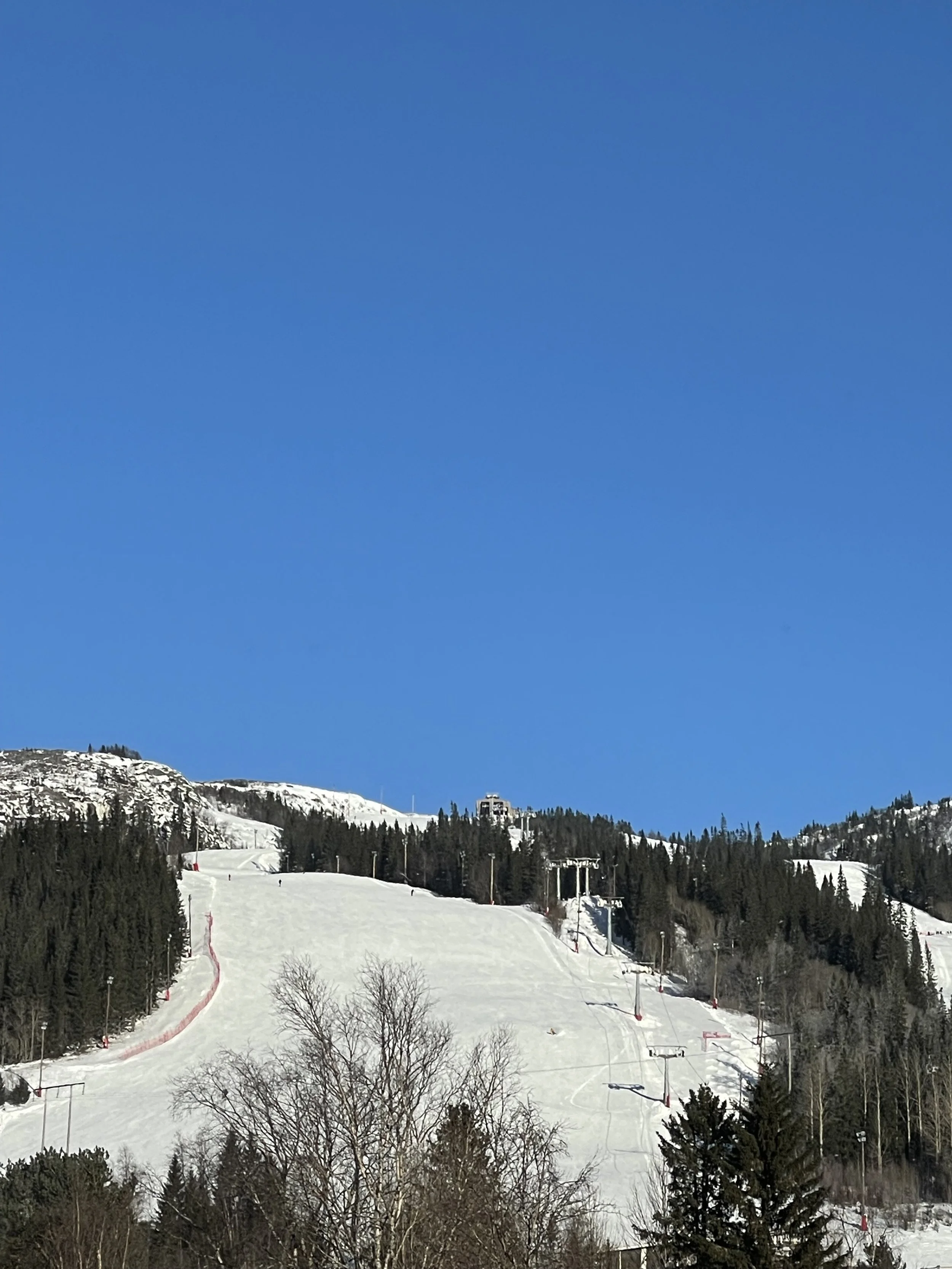 Hamrebacken i Duved lördag i februari