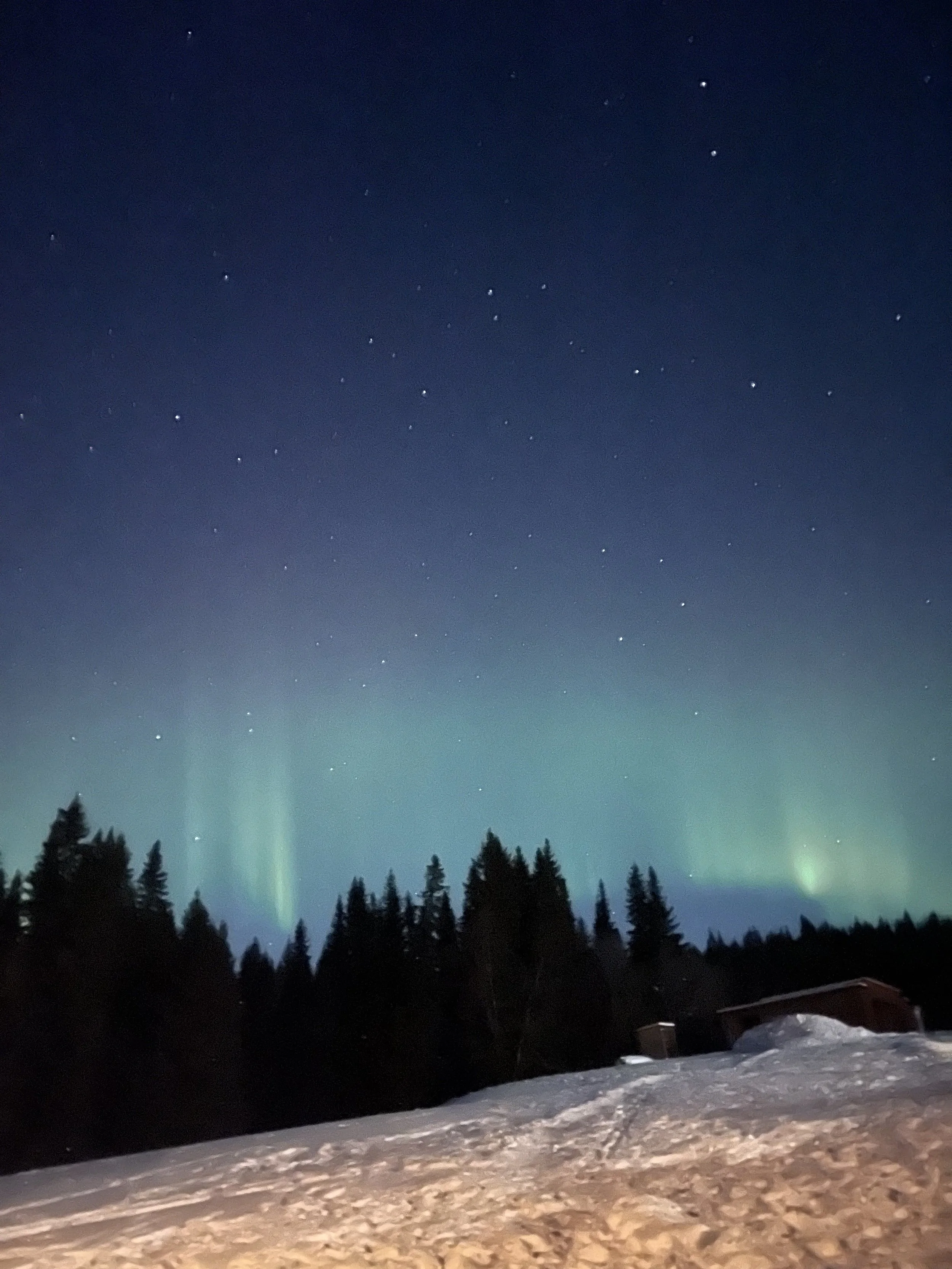 Norrsken över Åres skogar