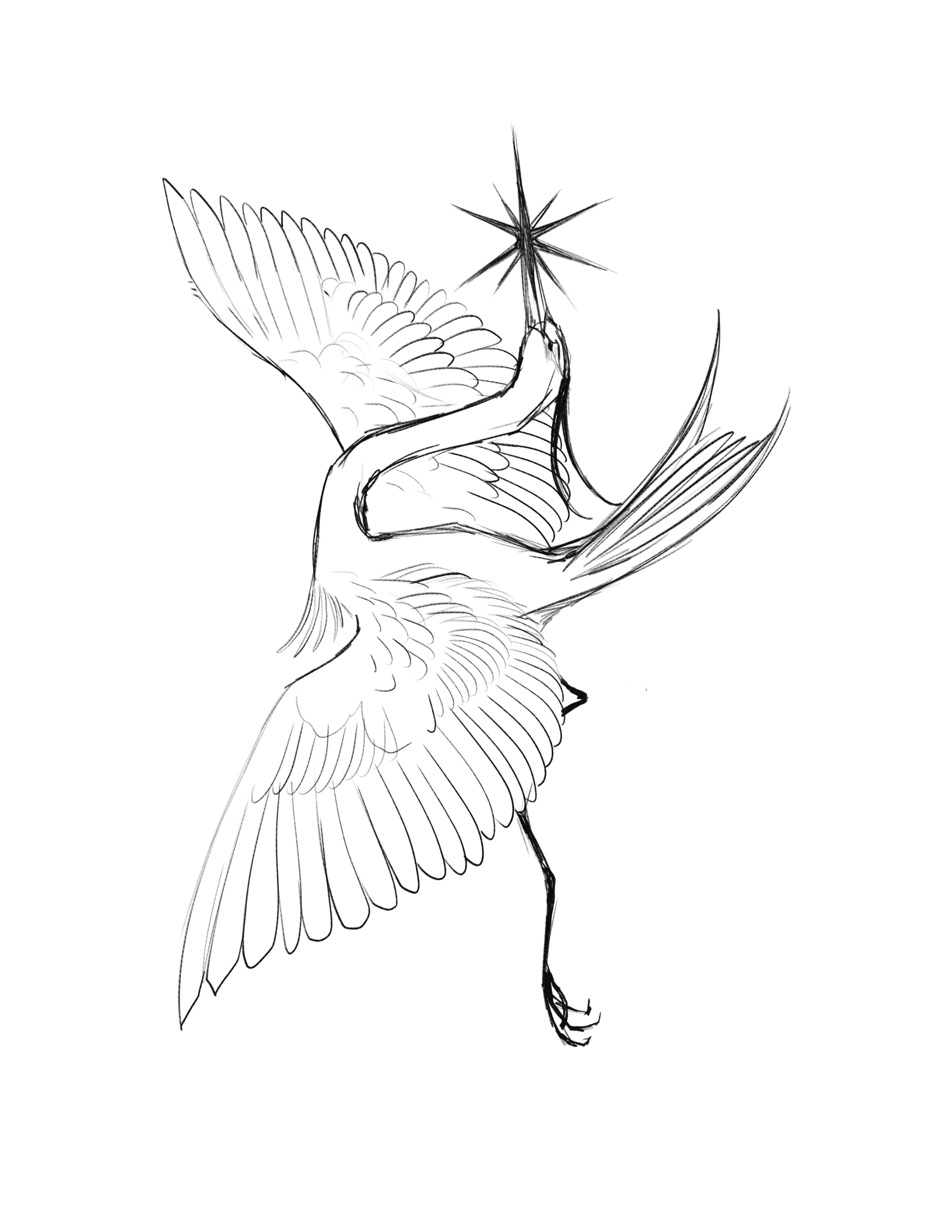 IMG_8170.PNG