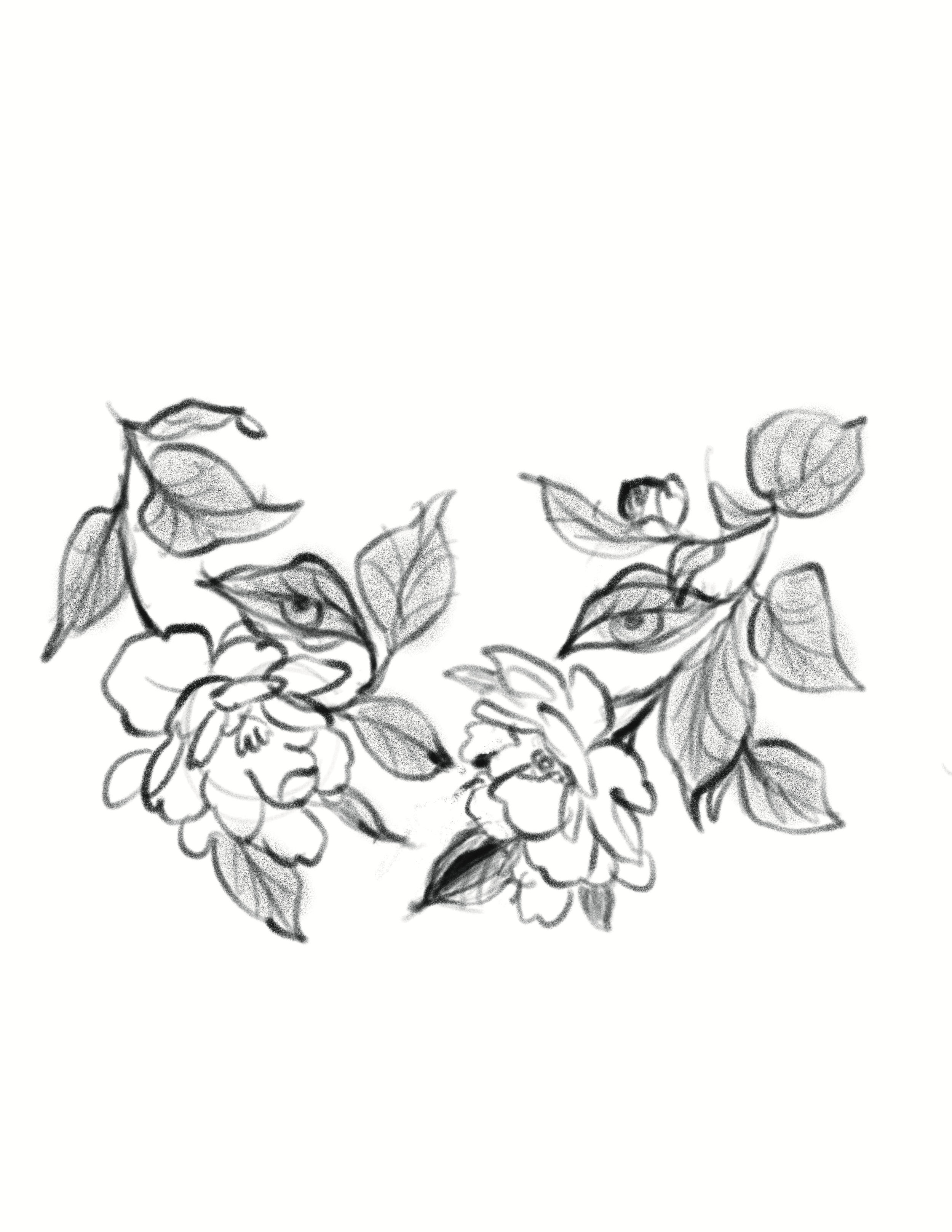 IMG_8179.PNG