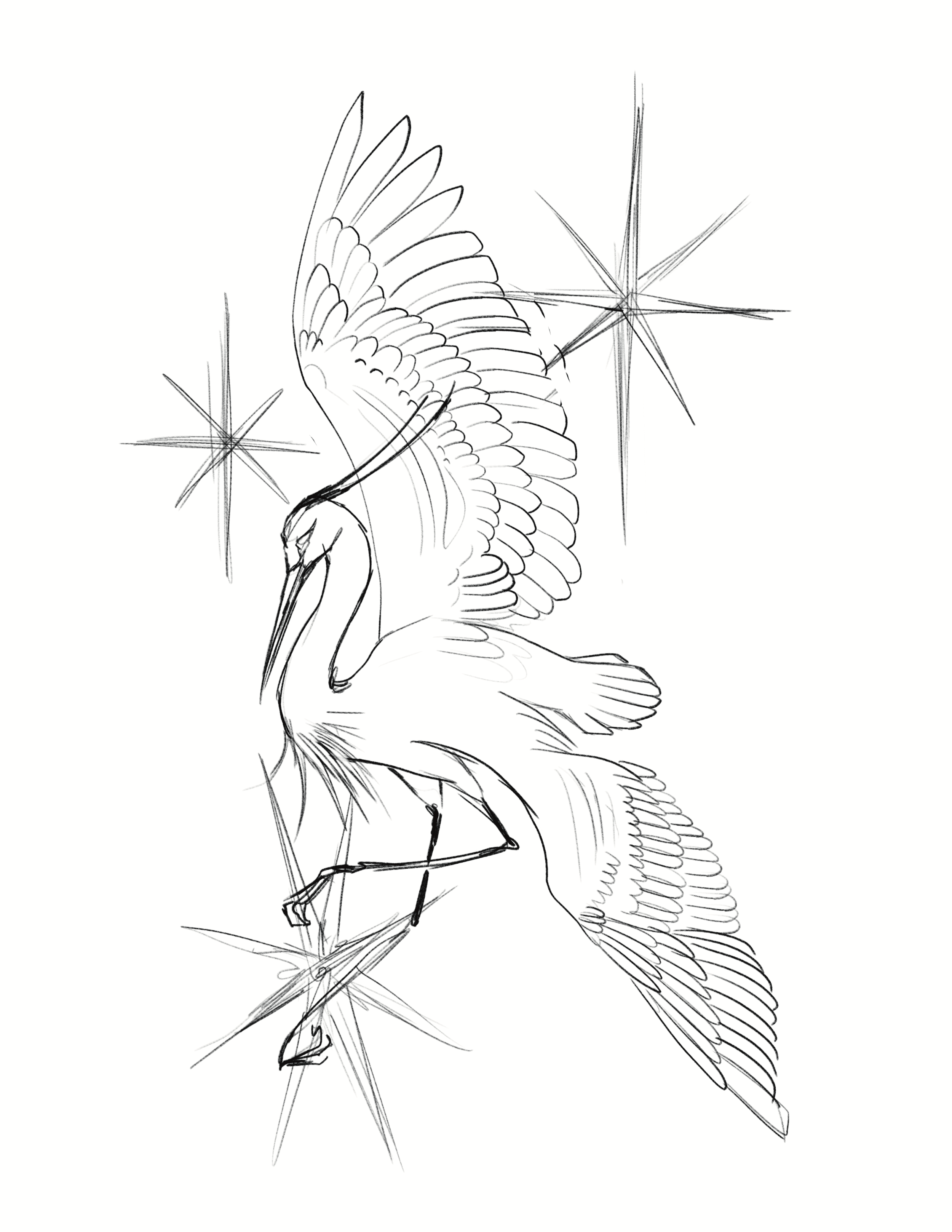 IMG_8168.PNG