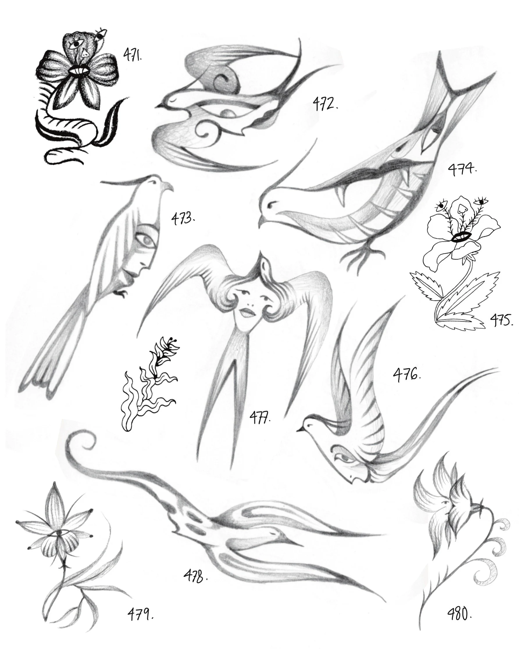 Pajaros demonios 5