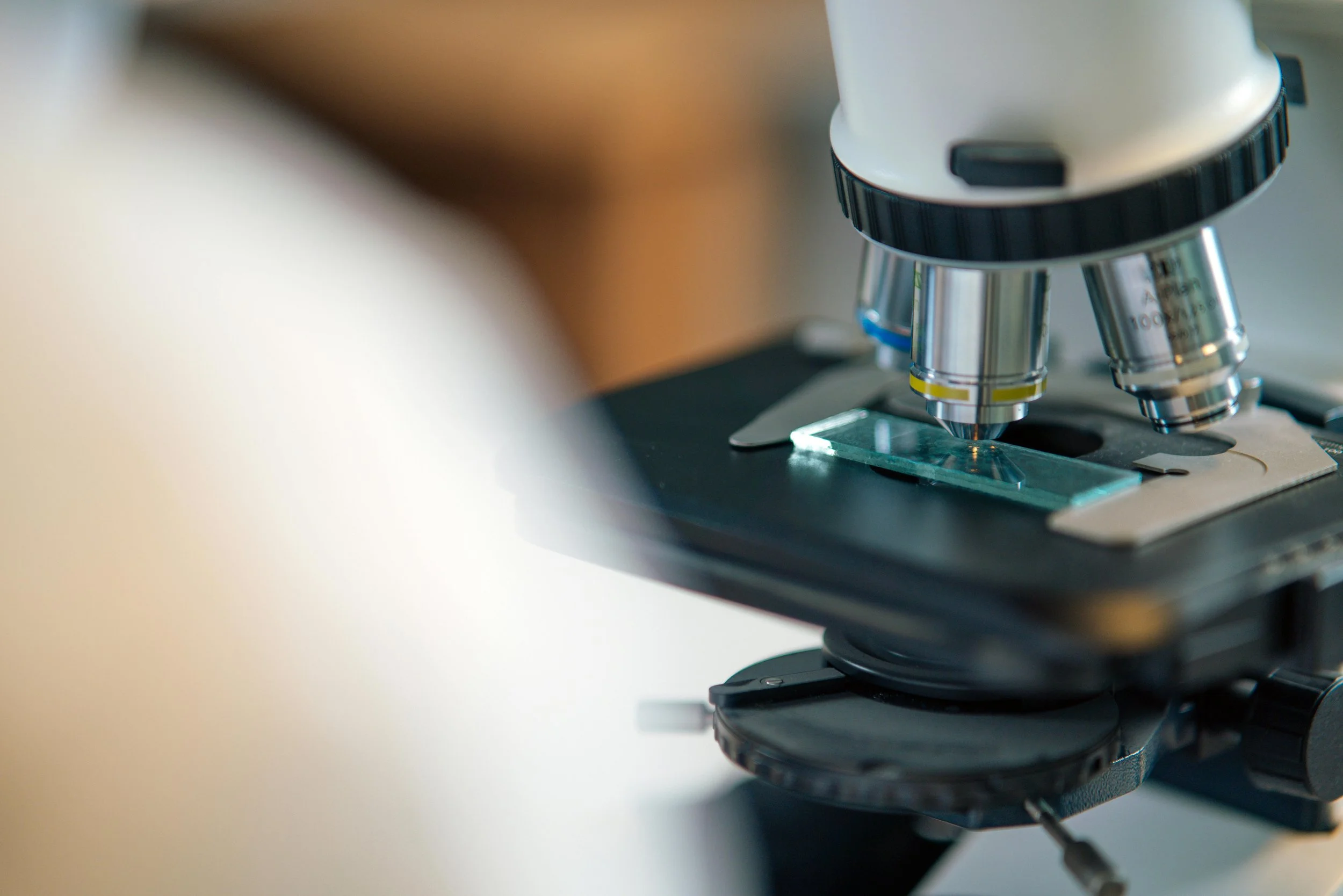 Professional Perspectives: Refinement of Animal Toxicology Research Techniques: Ethical and Scientific Advantages of Microsampling