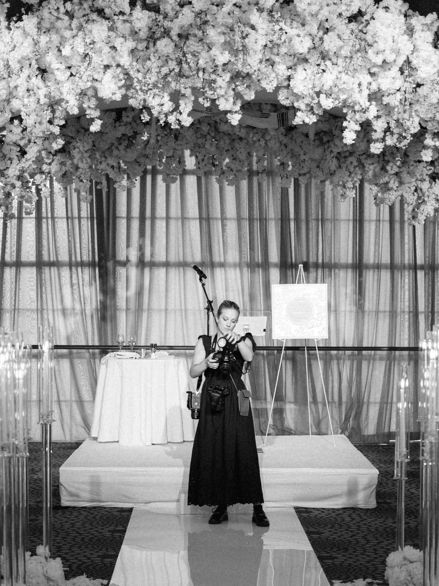 Life when I'm not behind the lens (non-curated edited)

Finally hanging some photos in the 2nd floor hallway (im just as bad at this as everyone else, even though its literally my career.

Lots of zoo time now that the weather has finally been nicer!