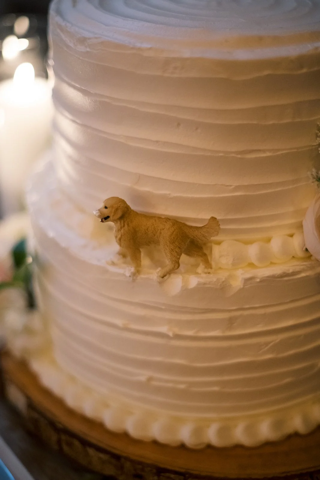 NinetyAcres-Wedding-OliviaChristinaphoto43.jpg