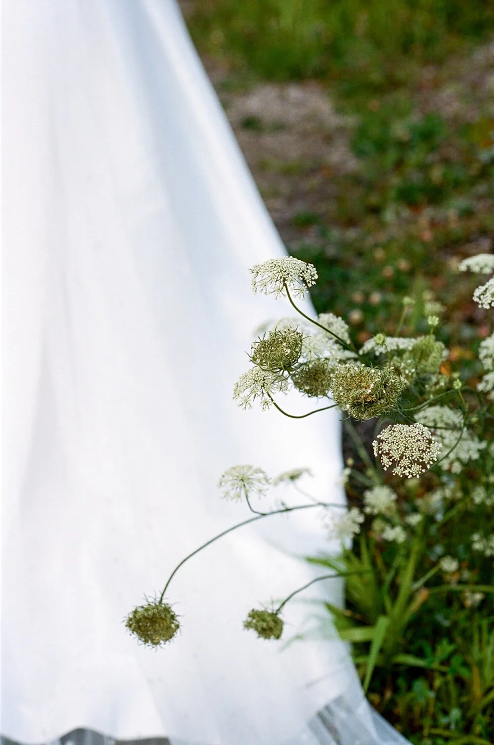 2025.41-Scribner'sLodge-CatskillsWedding-OliviaChristinaPhoto-28.jpg