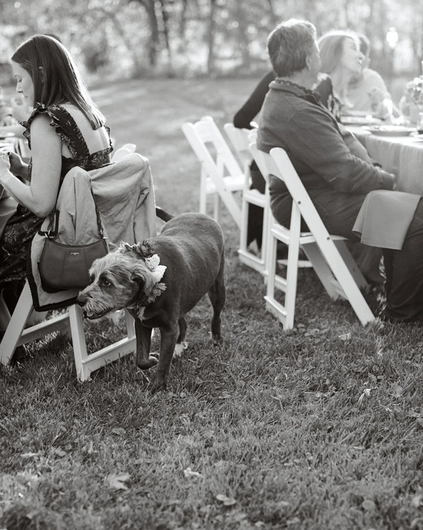 Maura and Rodrigo had a beautiful rehearsal dinner in Maura's parents backyard, where they had a taco truck catering dinner and their dogs running around the tables. Guests were encouraged to mix and mingle, play games, and get to know each other in 