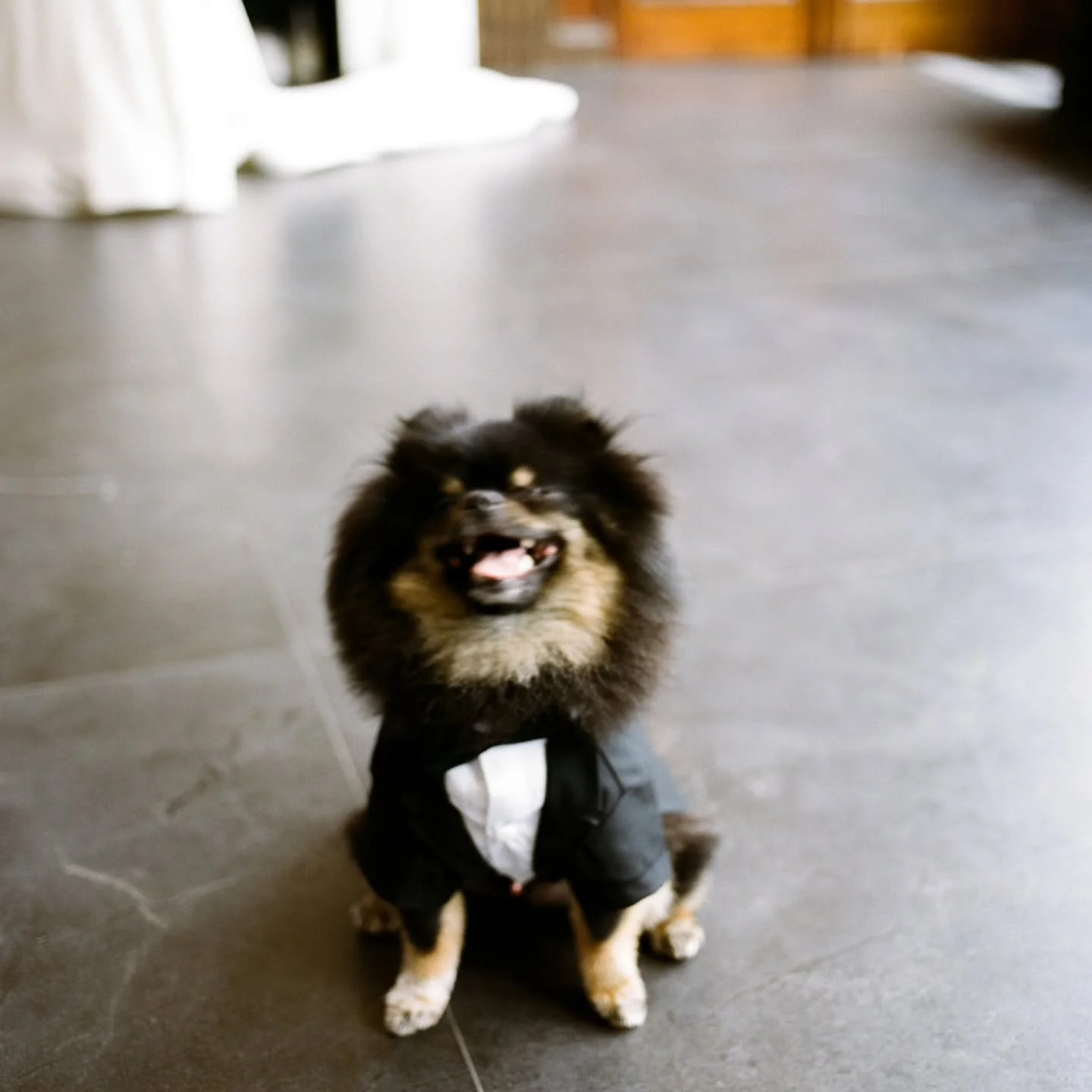 Accurate visualization of me going into September. A little ahhhh but a lot of yayyyy for so many weddings and family sessions!