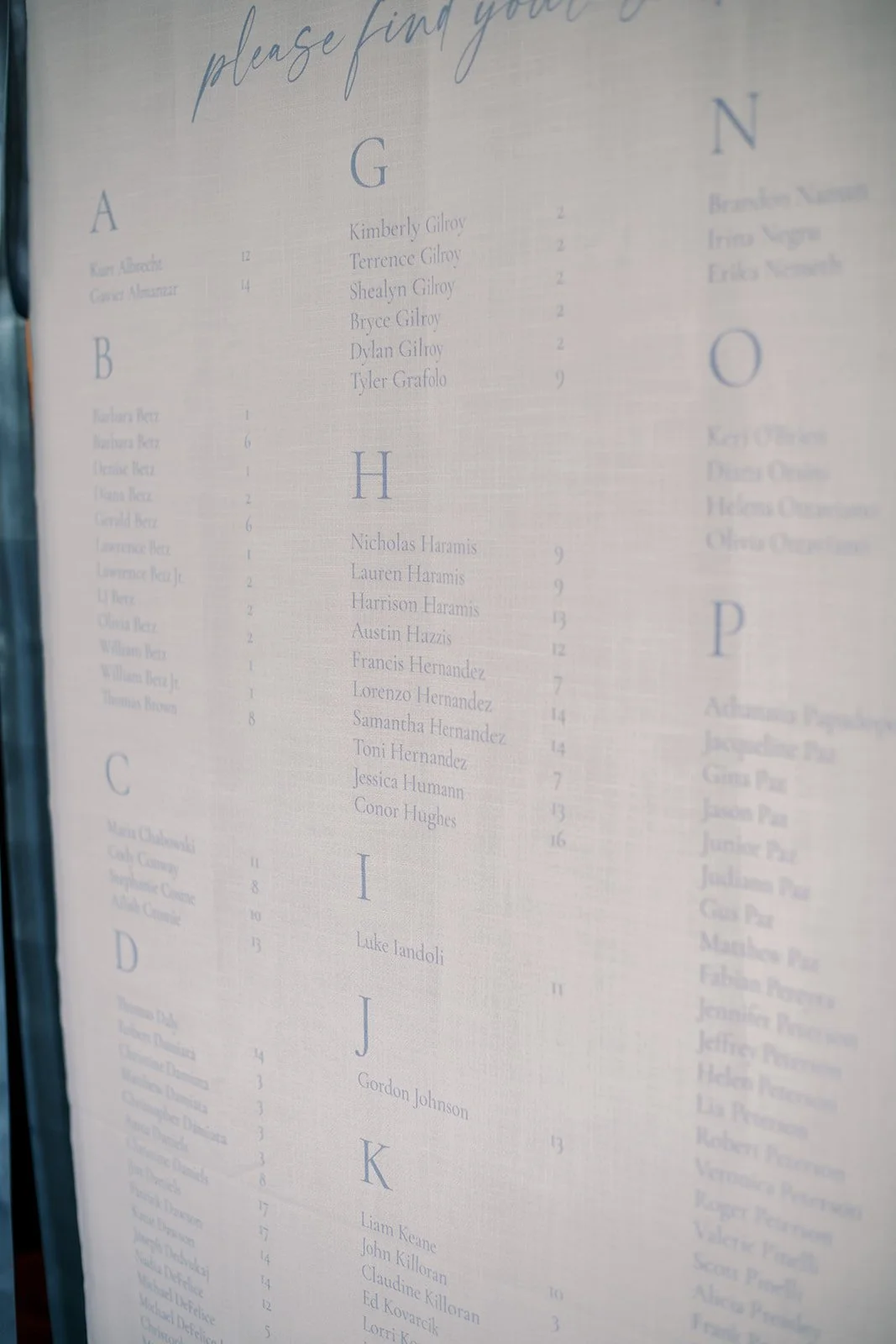 linen seating chart with baby blue text