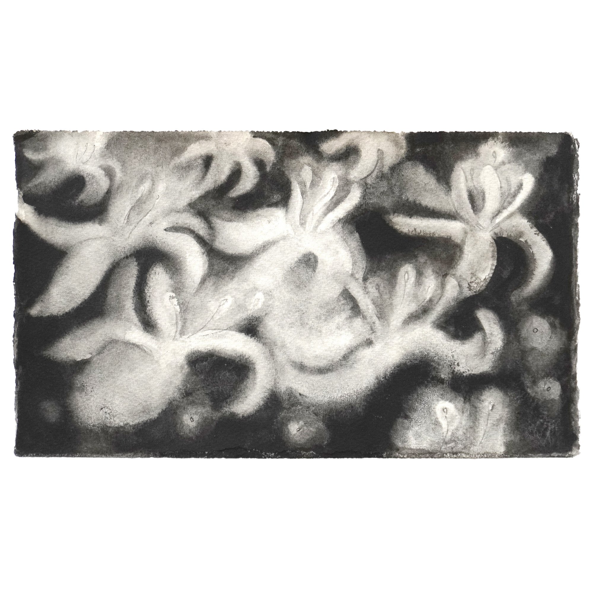 'Witches Dance ' by Martha Lamont