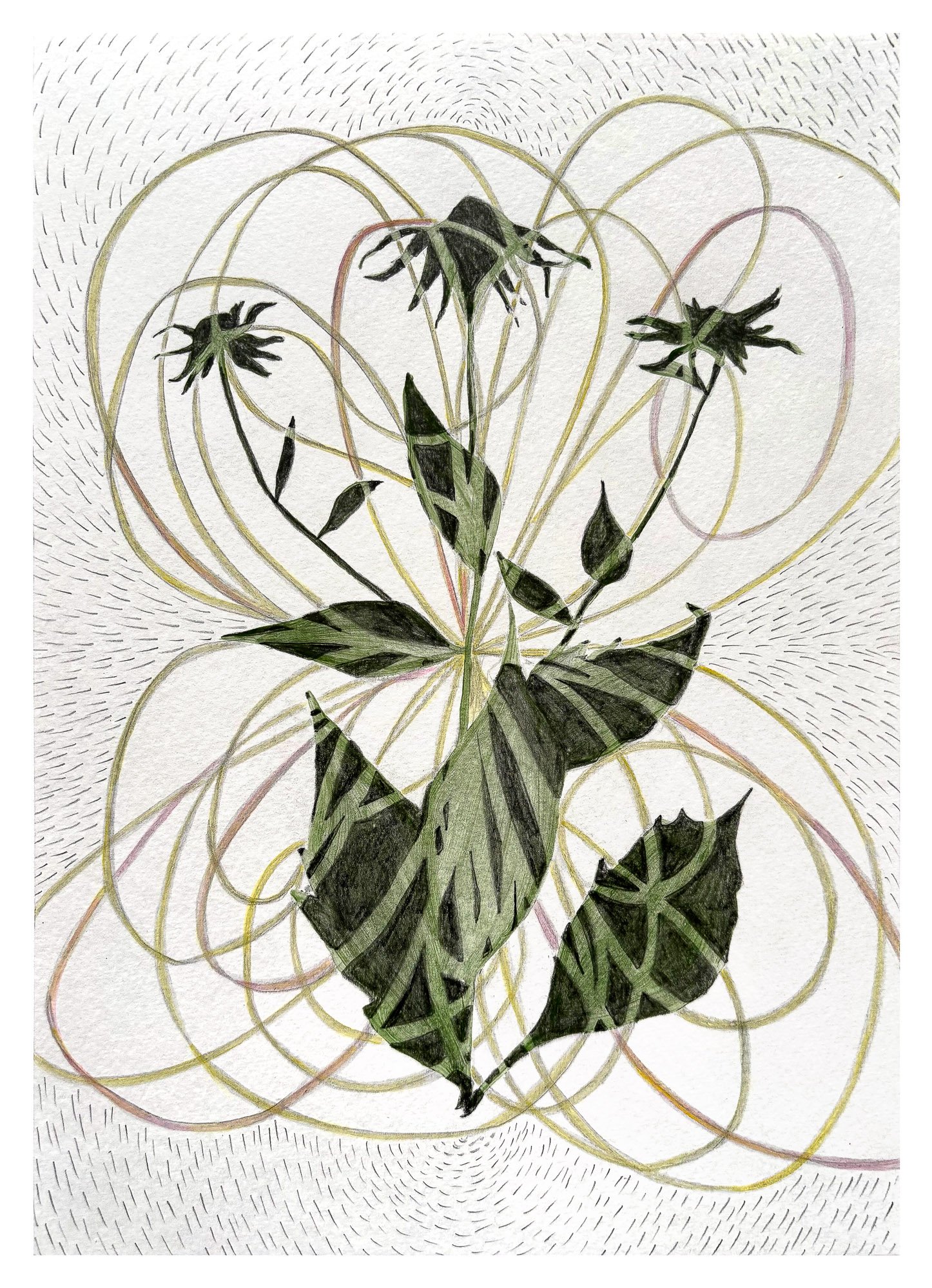 Louise Pettifer_If Only We Could See by Louise Pettifer - louise pettifer_BlueShopGallery_WOP7_005.jpg