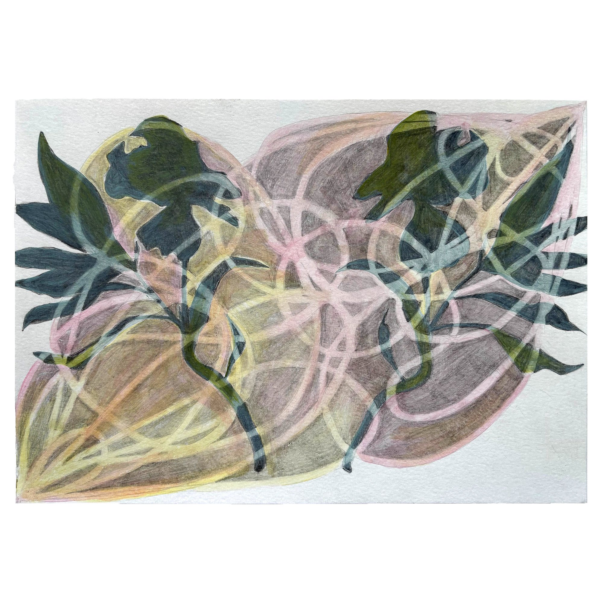 'Applied Repeatedly' by Louise Pettifer