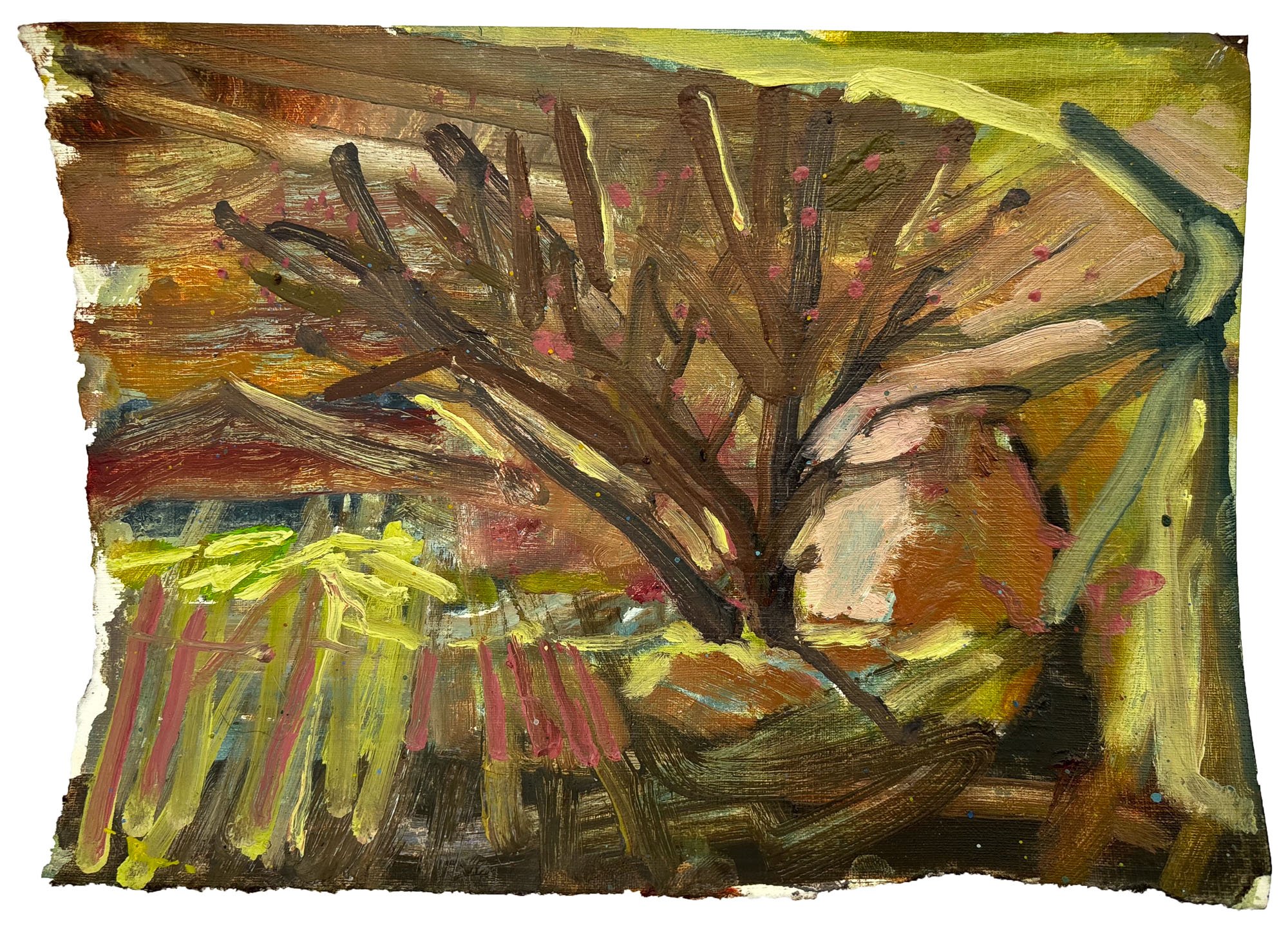 Toby Wills-Hart_Thorny Outburst by Toby Wills-Hart - Toby Wills-Hart_BlueShopGallery_WOP7_003.jpg