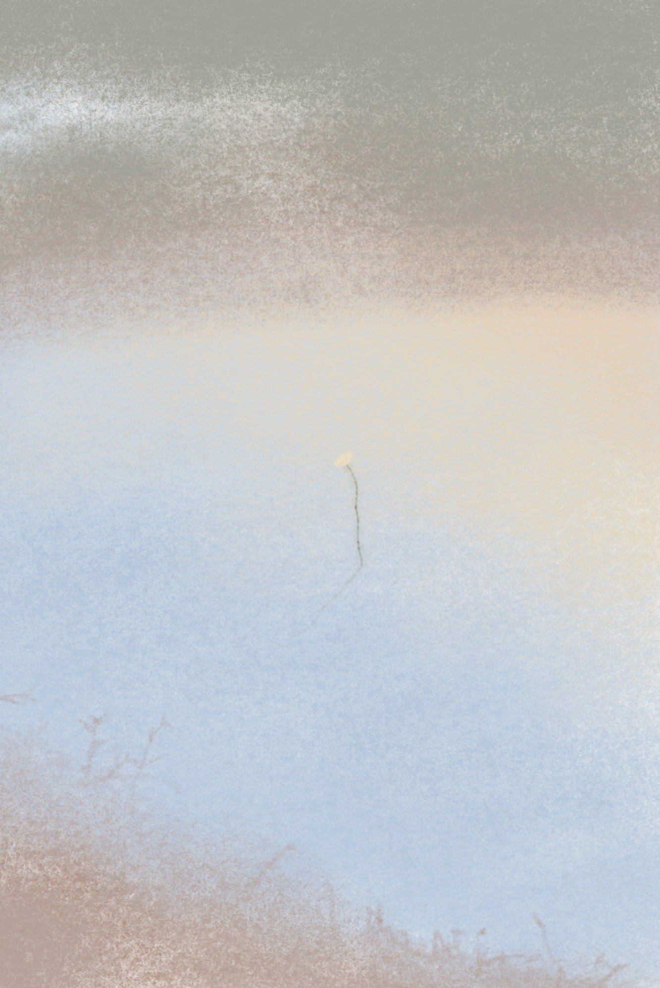 Soru Lee__After Rain_ by Soru Lee 01 - Soru Lee_BlueShopGallery_WOP7_931.jpg
