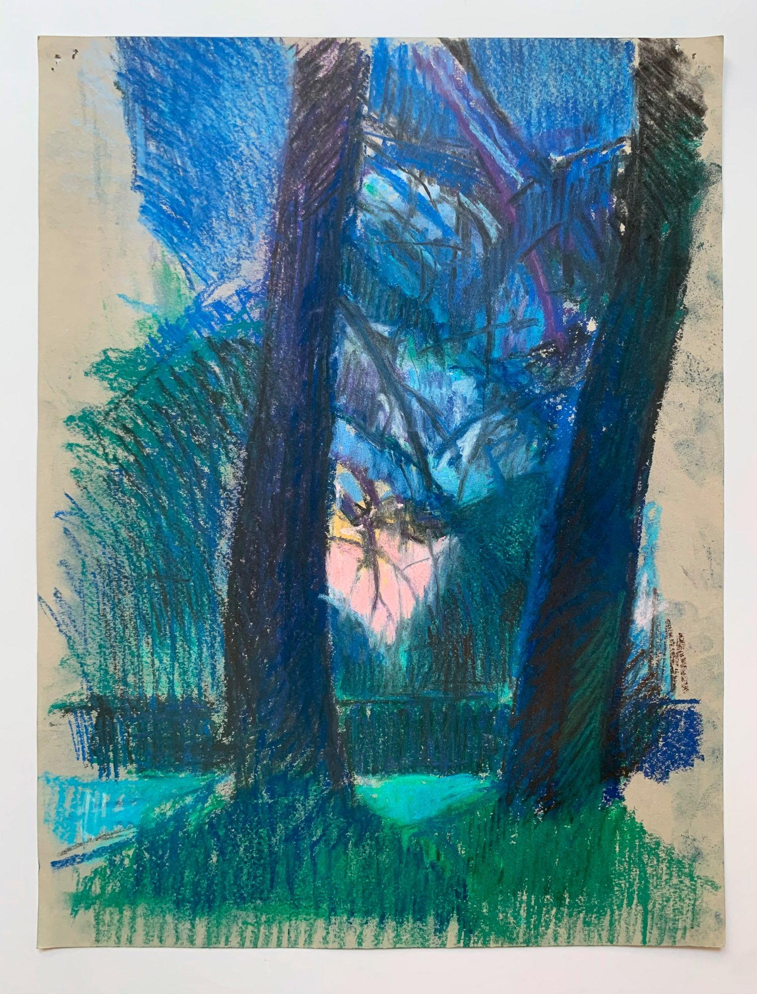 Tom Scotcher__Evening Light_ by Tom Scotcher - Tom Scotcher_BlueShopGallery_WOP7_1032.jpg