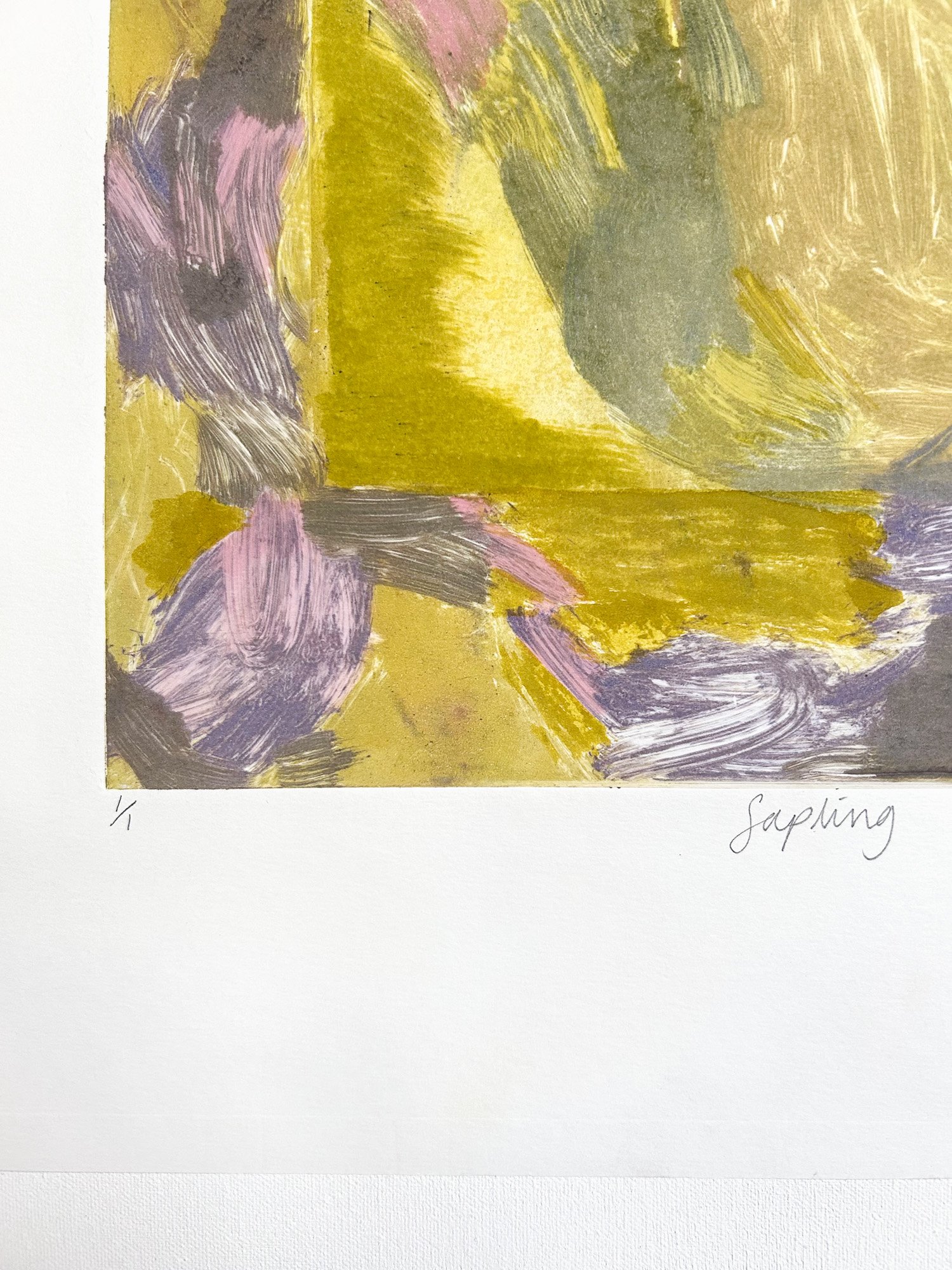 May Everett_Sapling_detail - May Everett_BlueShopGallery_WOP7_778.jpg