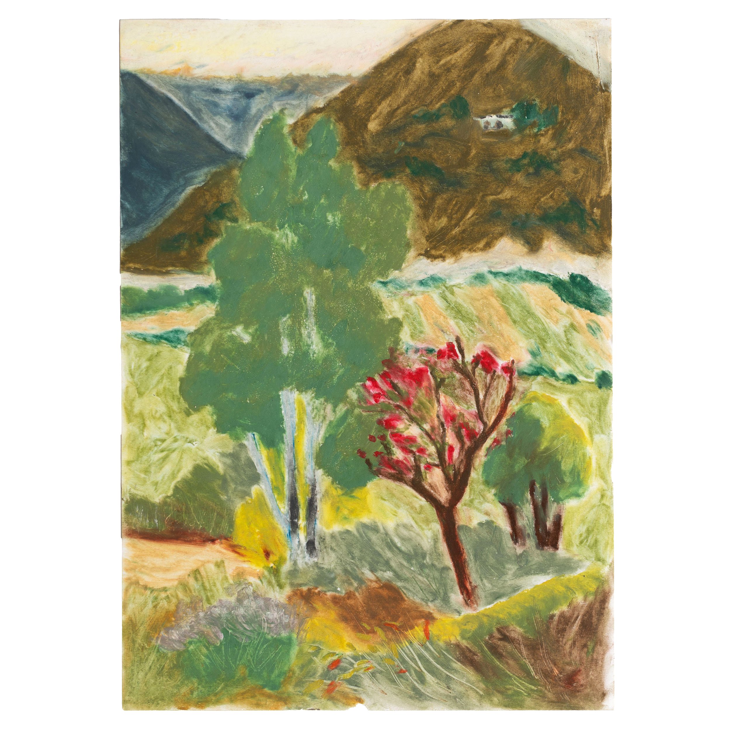 'From Hill Top' by Payoja Agarwal