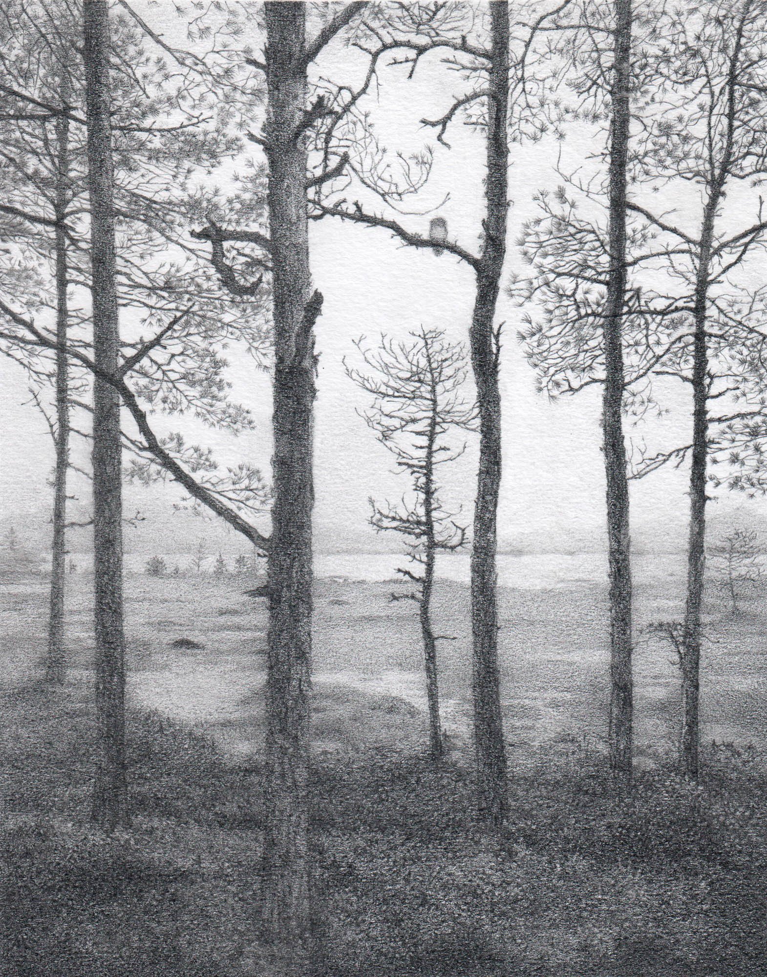 Kristina Wheeat_Kristina Wheeat_Bog Mire With An Owl_BlueShopGallery_WOP7_009.jpg