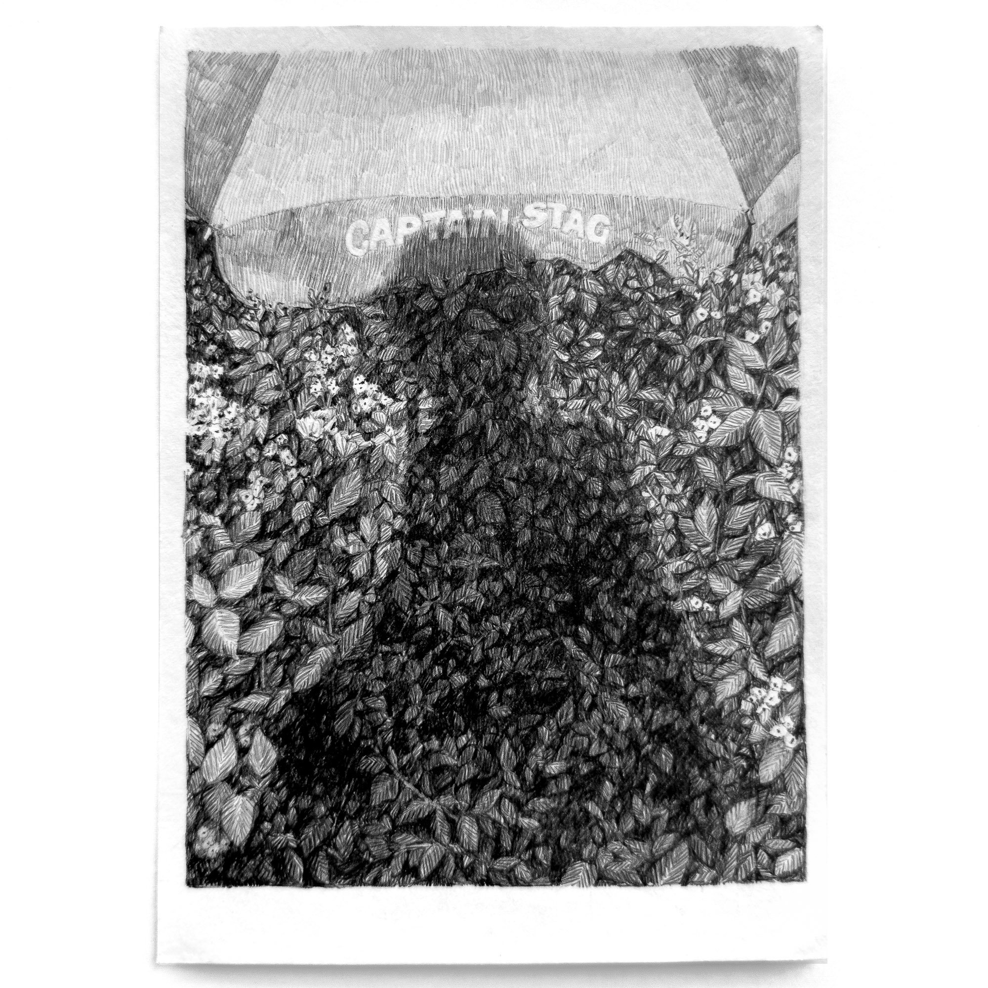 Lucy Ray_Study - Umbrella, a shadow and bushes - Lucy Wood_BlueShopGallery_WOP7_609.jpg