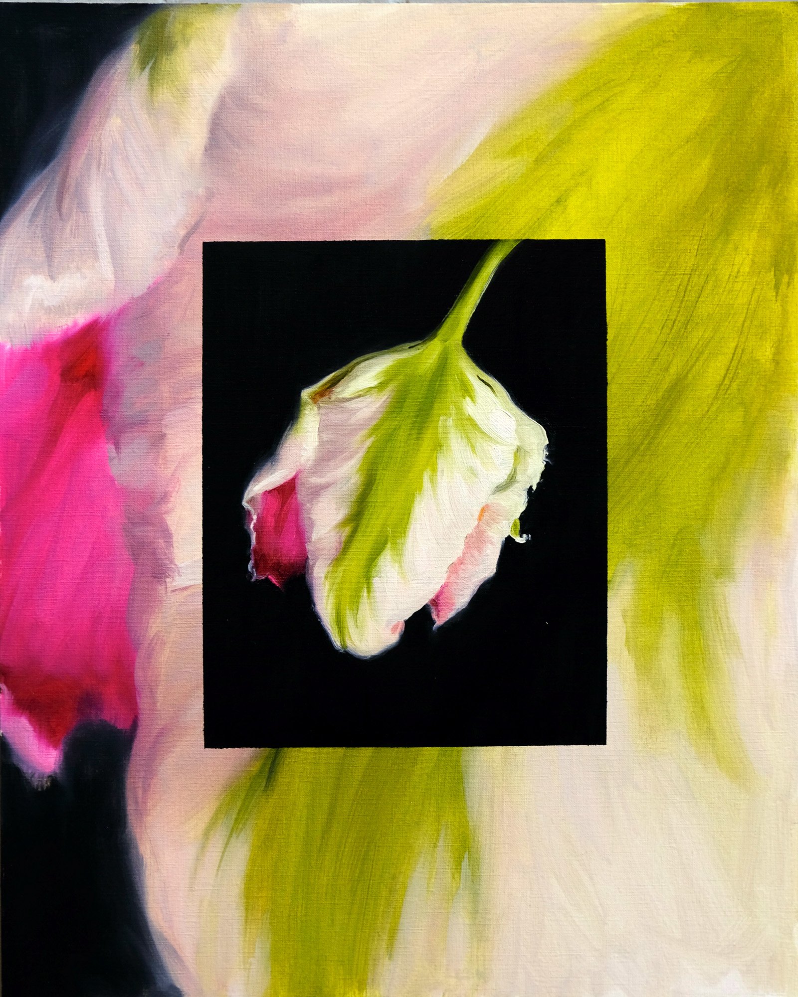 Harriet Pattinson_harriet pattinson_cabanna parrot tulip ii_2024_BlueShopGallery_WOP7_002.jpg