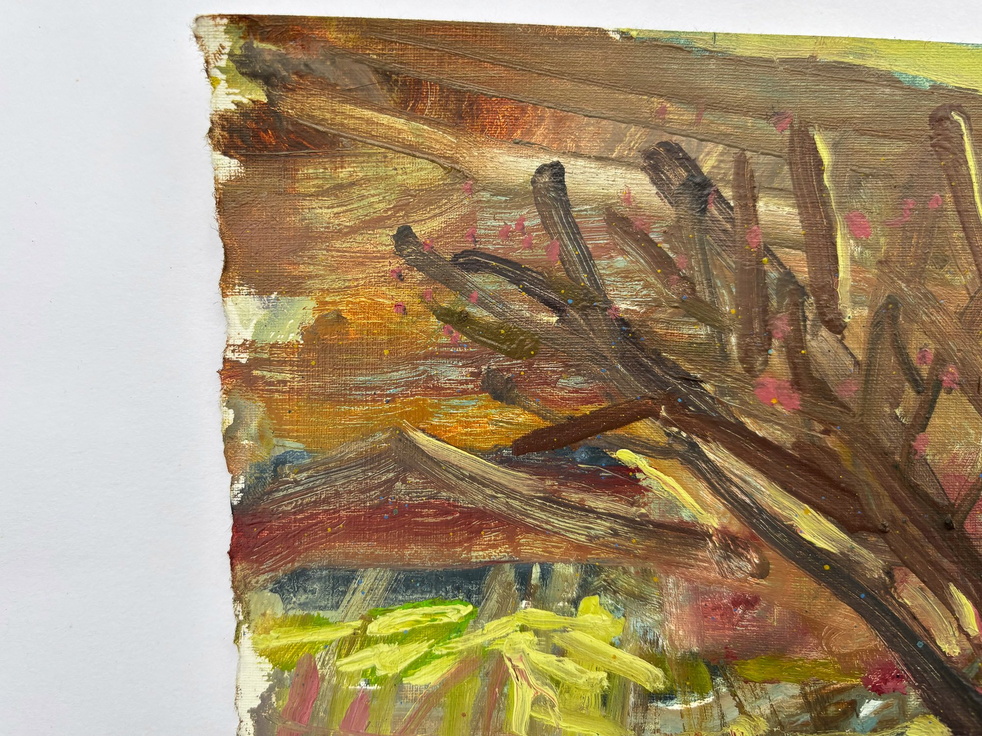 Toby Wills-Hart_Thorny Outburst by Toby Wills-Hart 2 - Toby Wills-Hart_BlueShopGallery_WOP7_898.jpg