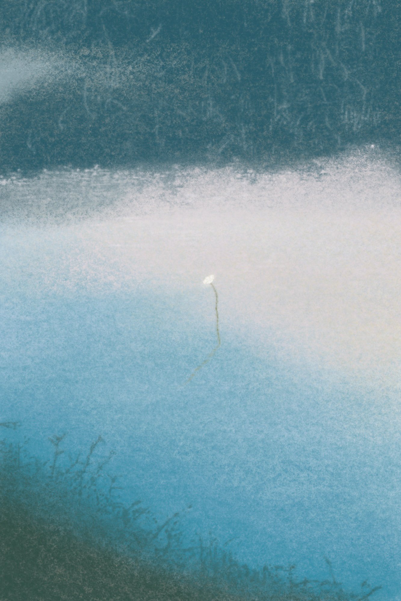 Soru Lee__Water Flower VII_ by Soru Lee 01 - Soru Lee_BlueShopGallery_WOP7_930.jpg