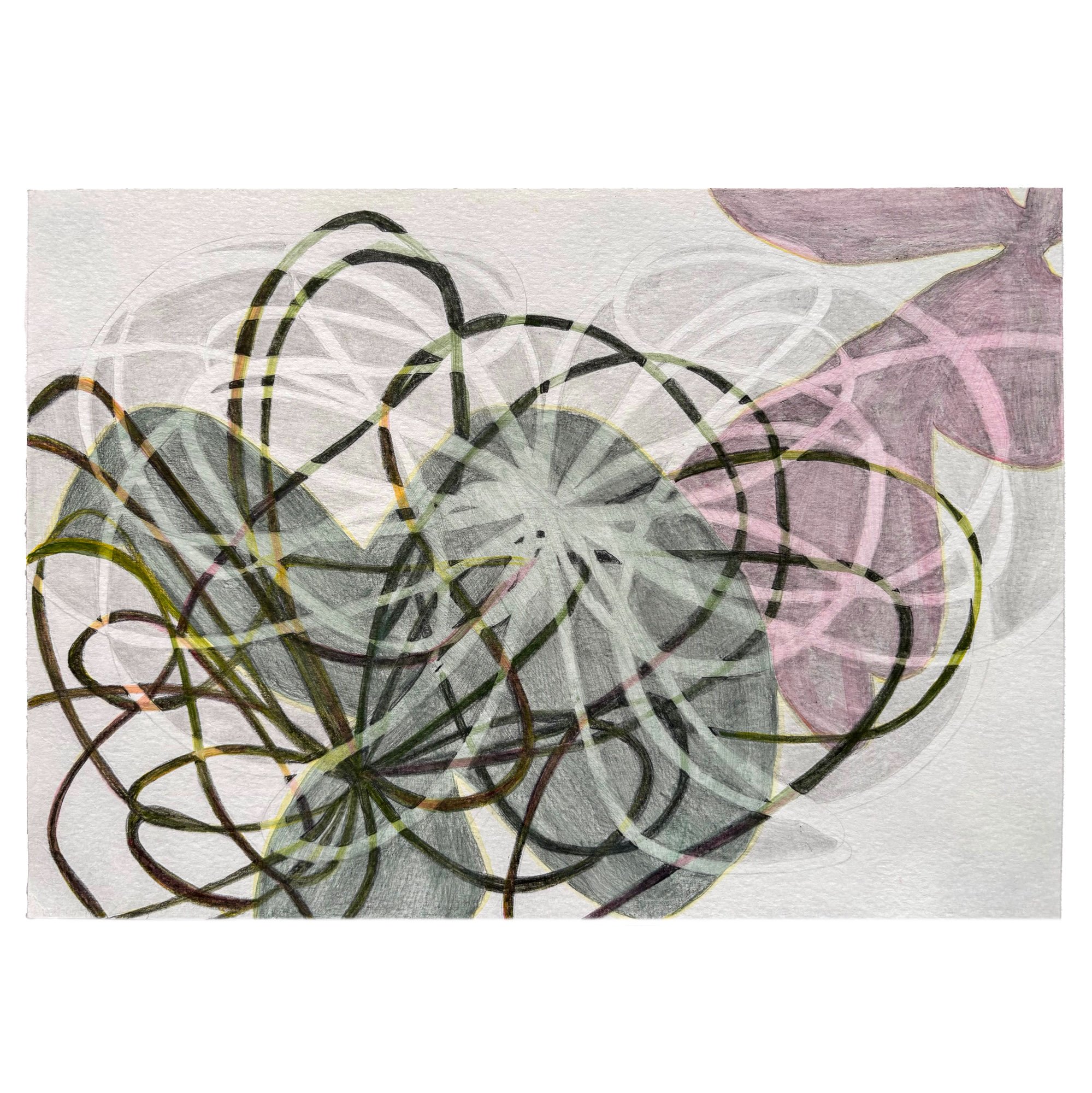 'A Simple Rule' by Louise Pettifer