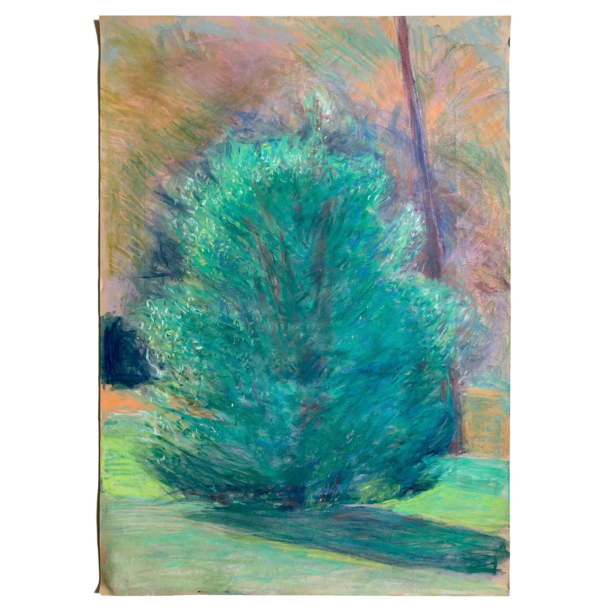 'Holly Bush Shroud' by Tom Scotcher
