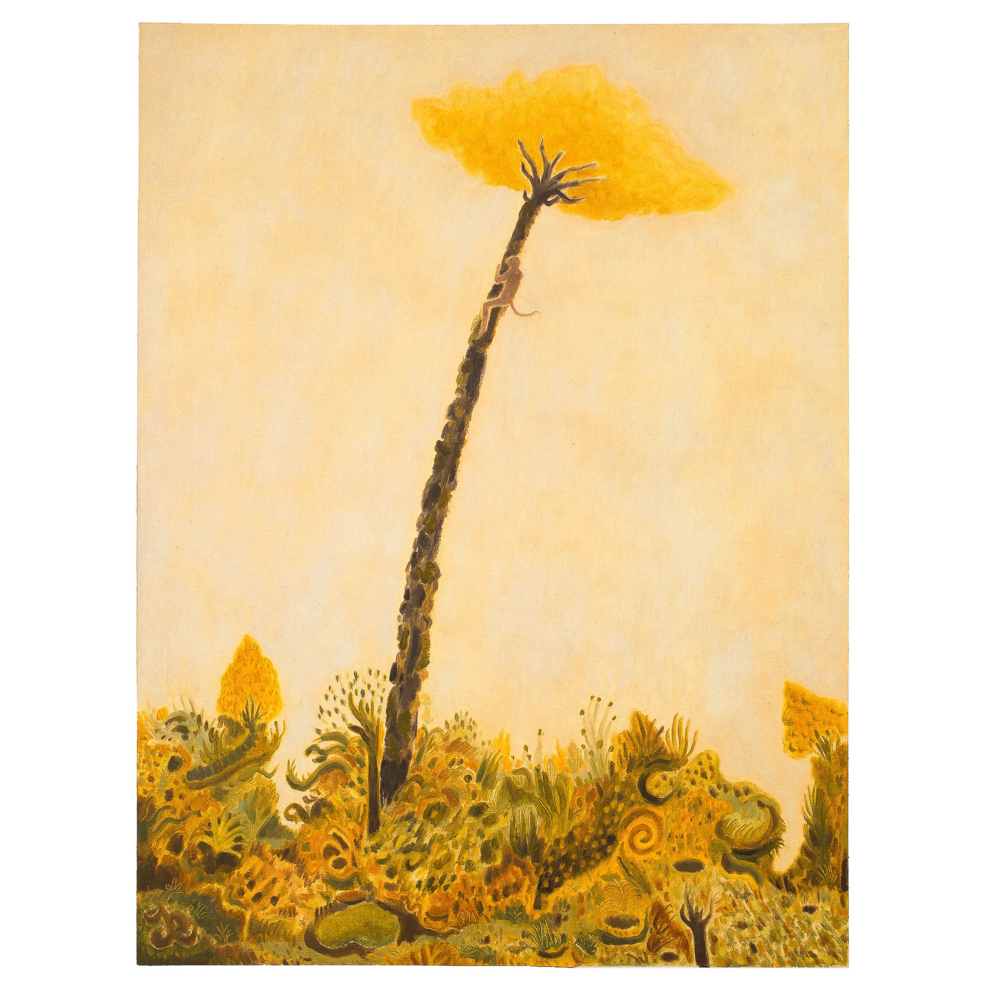 Joseph Dilnot_Returning to the Canopy by Joseph Dilnot - Joseph Dilnot_BlueShopGallery_WOP7_022.jpg