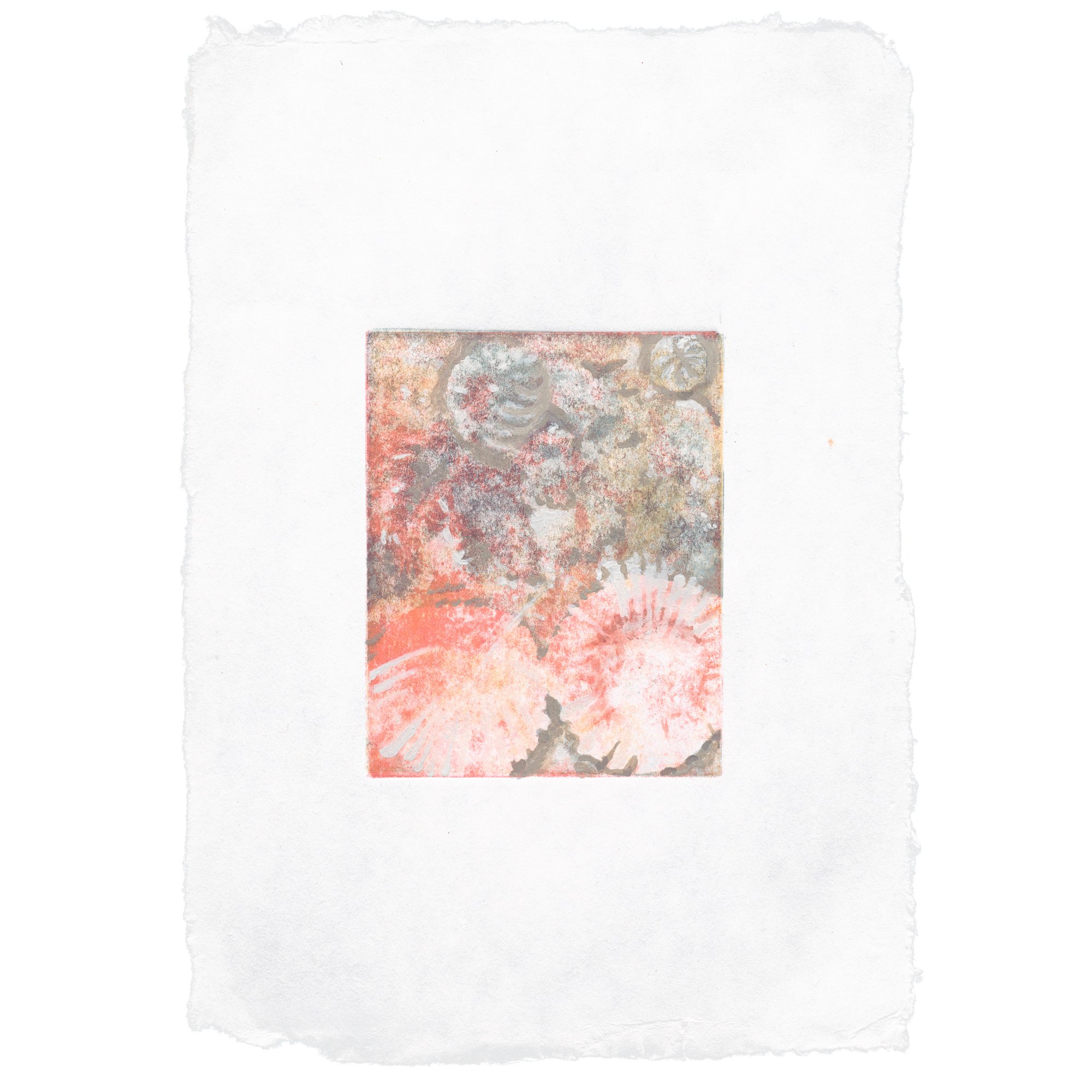 Liza Kelly_DaisiesIMay_GhostPrint_LizaKelly_2025 - Liza Kelly_BlueShopGallery_WOP7_1080.jpg