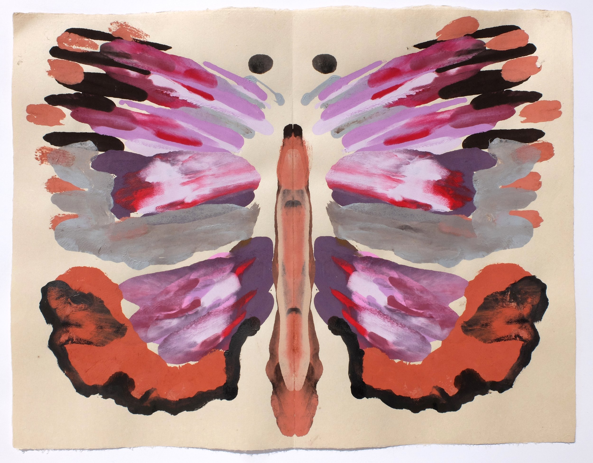 My Butterfly Collection, 52 x 66cm, Gouache on Japanese Paper 6 copy.jpg