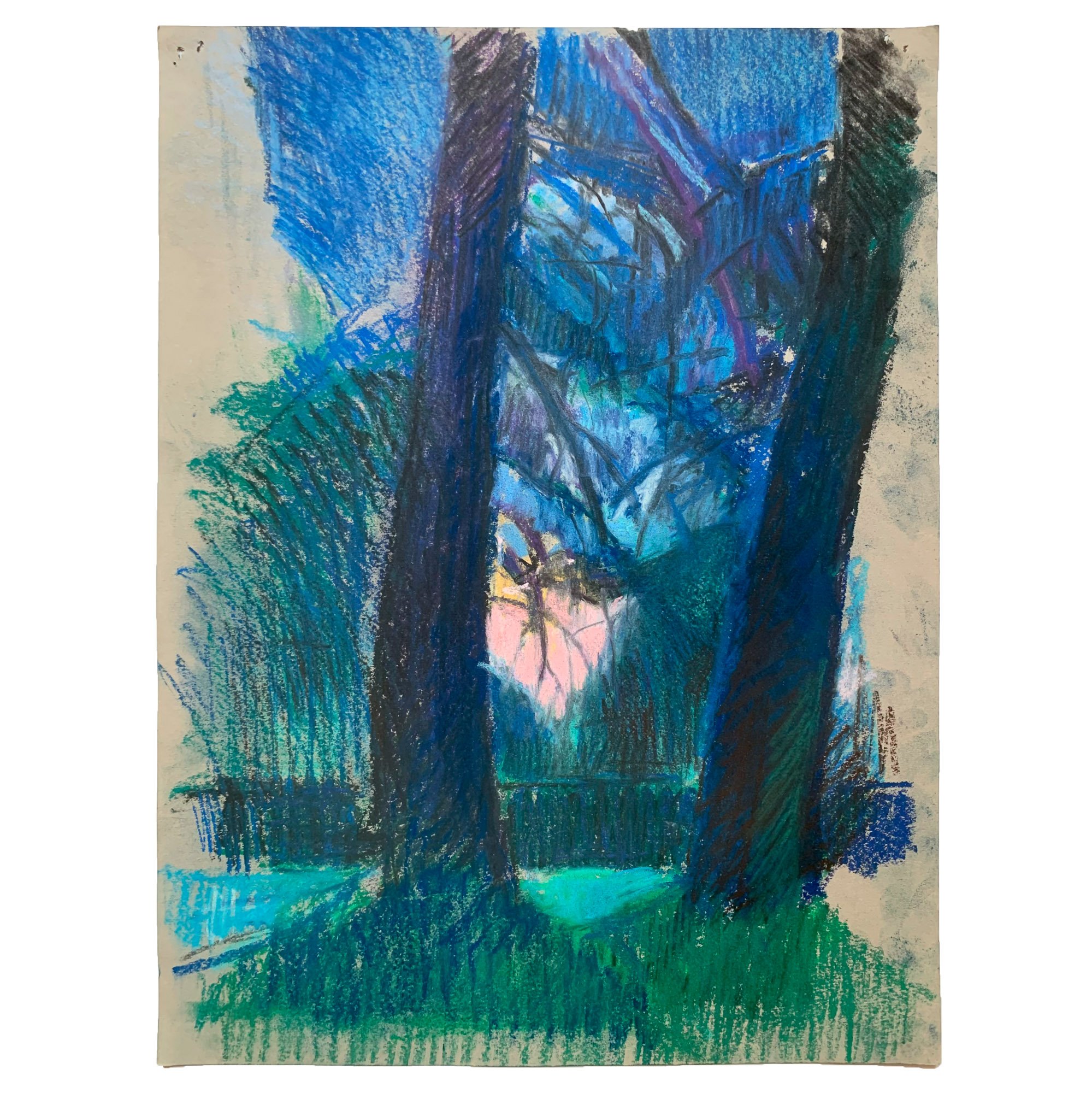 'Evening Light' by Tom Scotcher