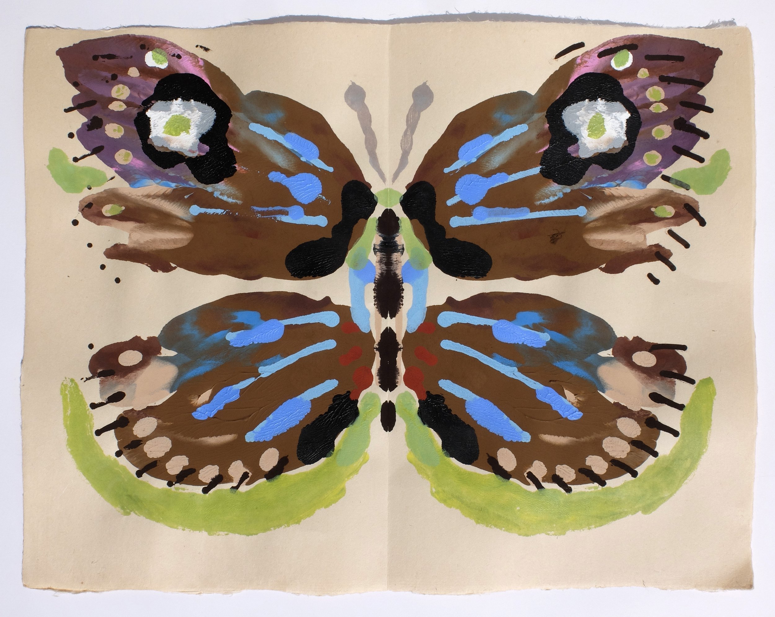 My Butterfly Collection, 52 x 66cm, Gouache on Japanese Paper 7 copy.jpg