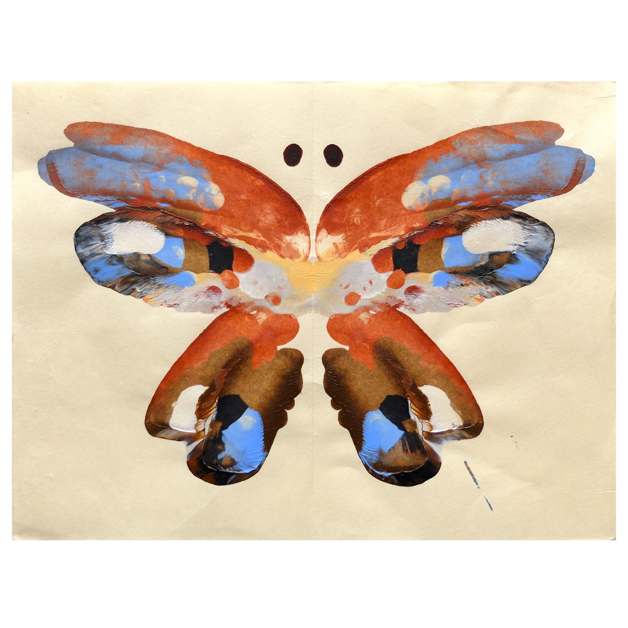 NedElliott_sq_smallbutterfly_15.jpg