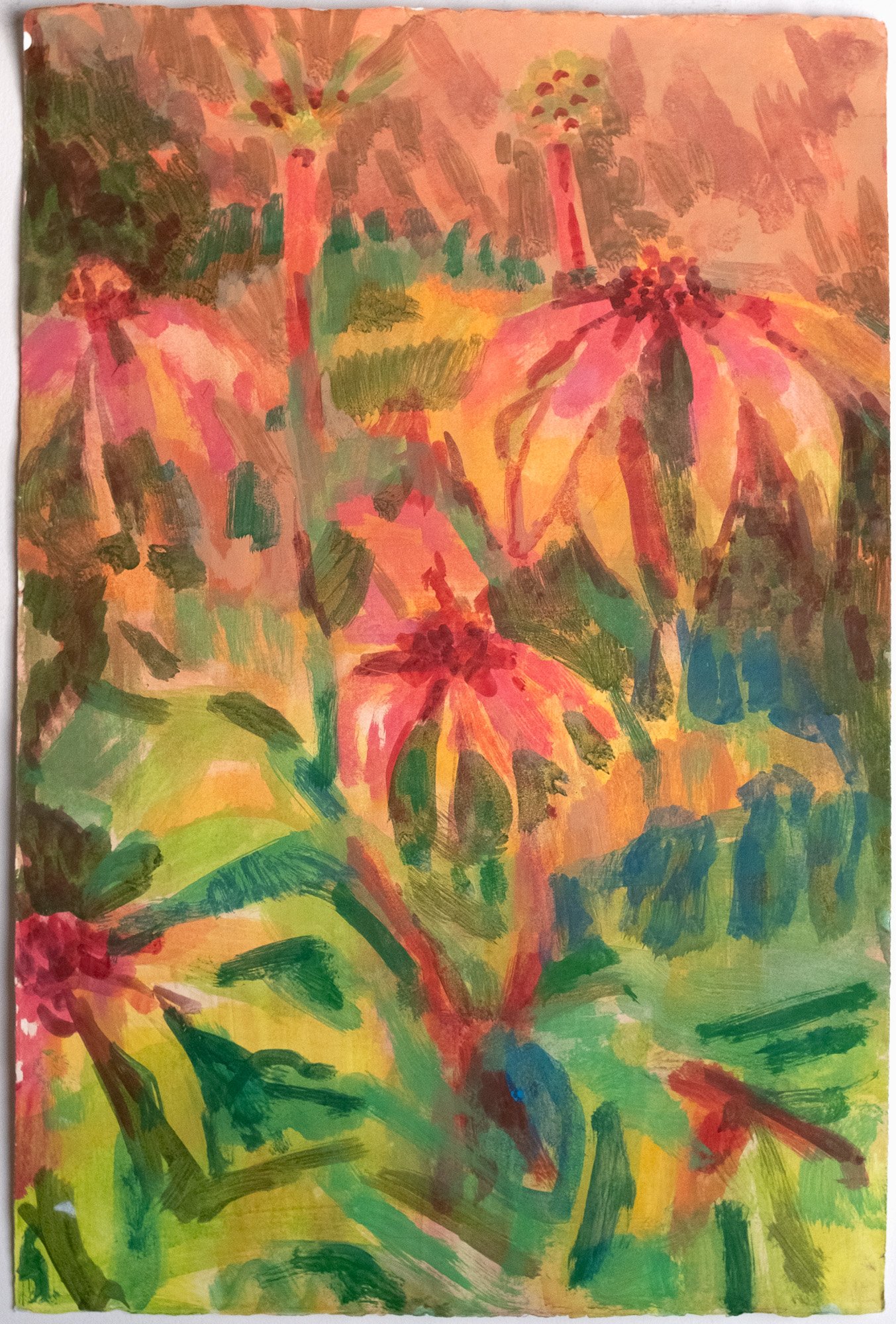Caroline Cornelius_CarolineCornelius_Kim_sKneeHIghEchinacea_2024 - Caroline Cornelius_BlueShopGallery_WOP7_006.jpg