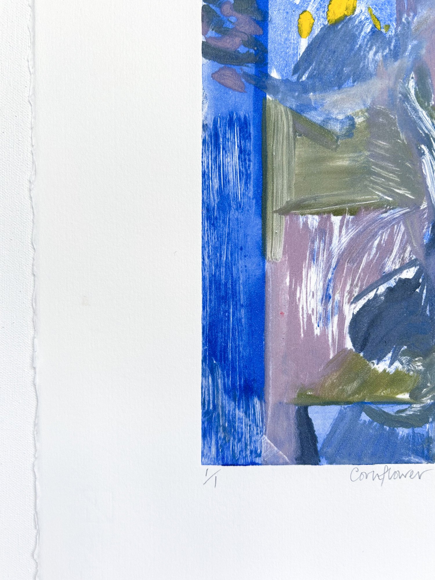 May Everett_Cornflower_detail - May Everett_BlueShopGallery_WOP7_006.jpg