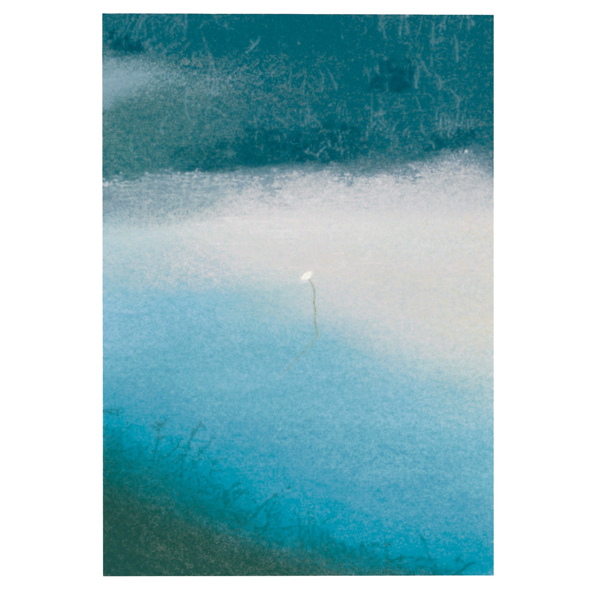 'Water Flower VII' by Soru Lee