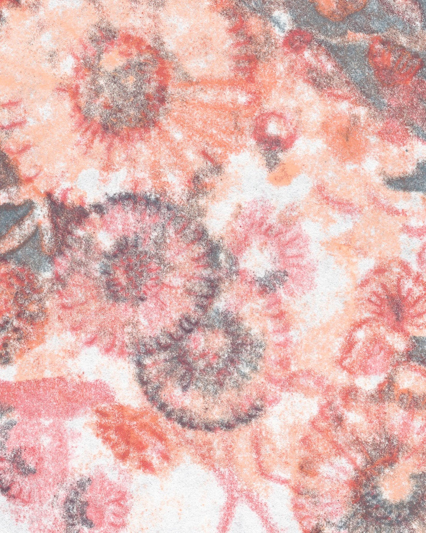 Liza Kelly_Daisies I June Cropped_LizaKelly - Liza Kelly_BlueShopGallery_WOP7_1084.jpg