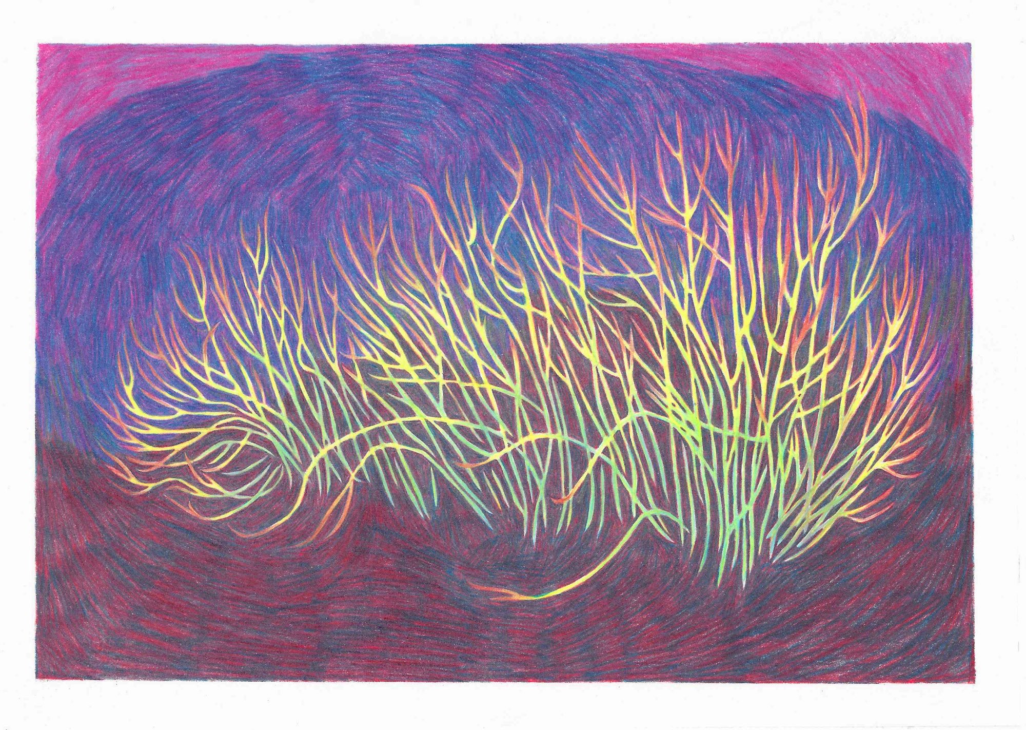 Sara Juel Andersen_SaraJuelAndersen_MountHoreb_2025 - Sara Juel Andersen_BlueShopGallery_WOP7_002.jpg