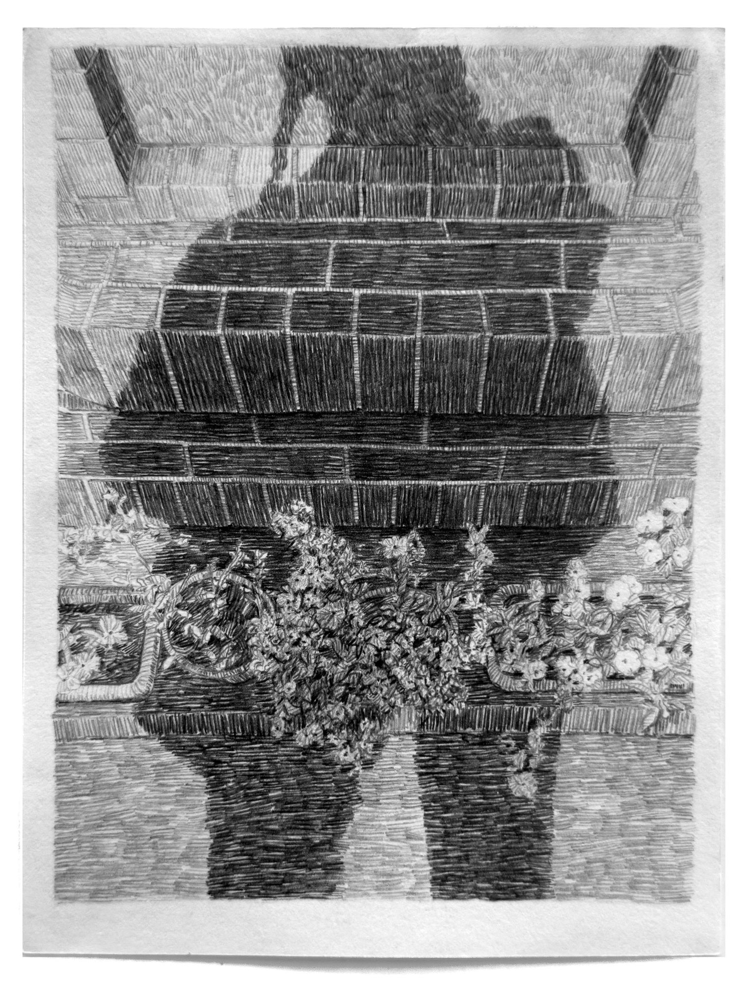 Lucy Ray_A ledge, plants and shadow_LucyRay - Lucy Wood_BlueShopGallery_WOP7_010_CR.jpg