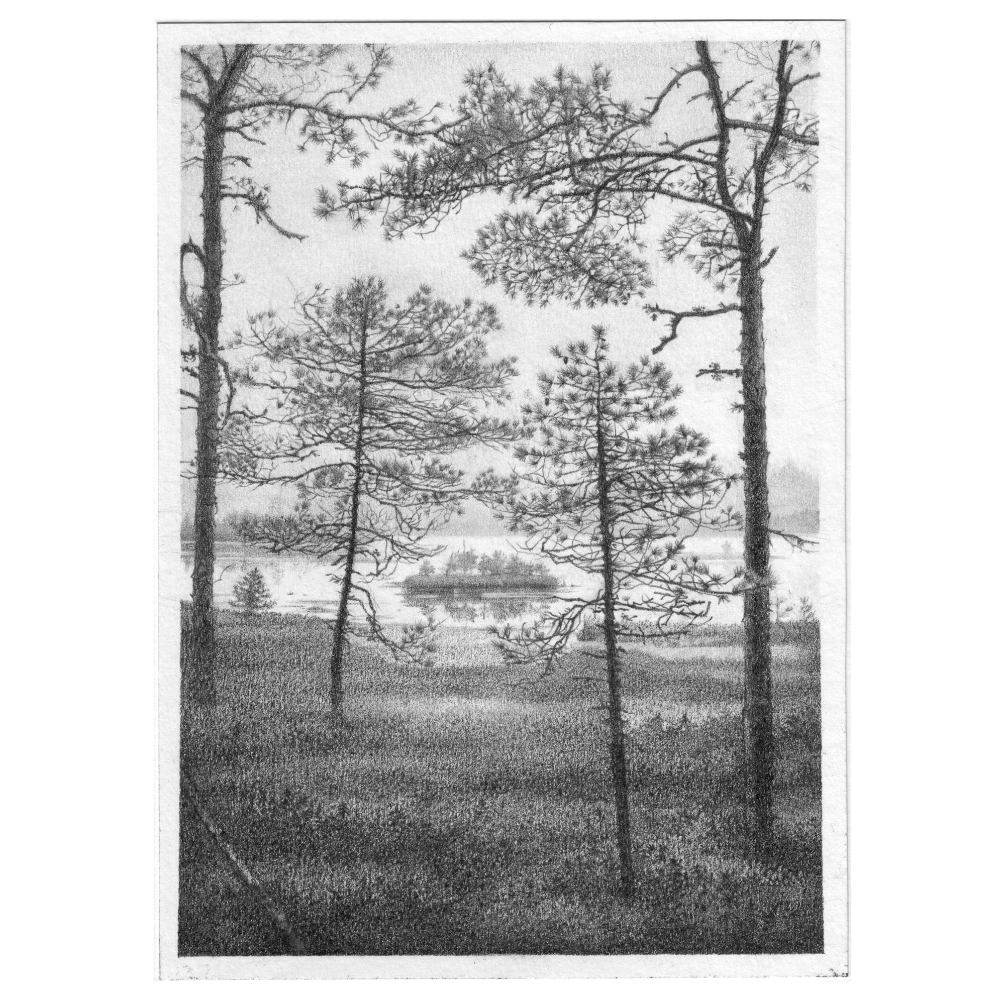 Kristina Wheeat_Kristina Wheeat_Bog Mire_BlueShopGallery_WOP7_1180.jpg