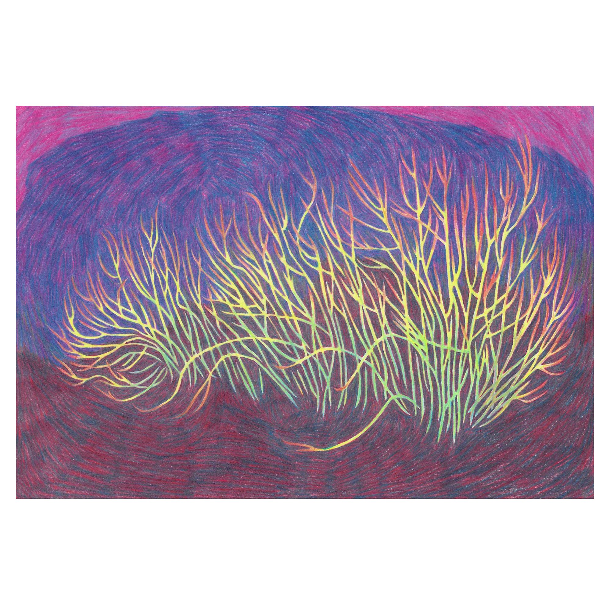 Sara Juel Andersen_SaraJuelAndersen_MountHoreb_2025 - Sara Juel Andersen_BlueShopGallery_WOP7_001.jpg