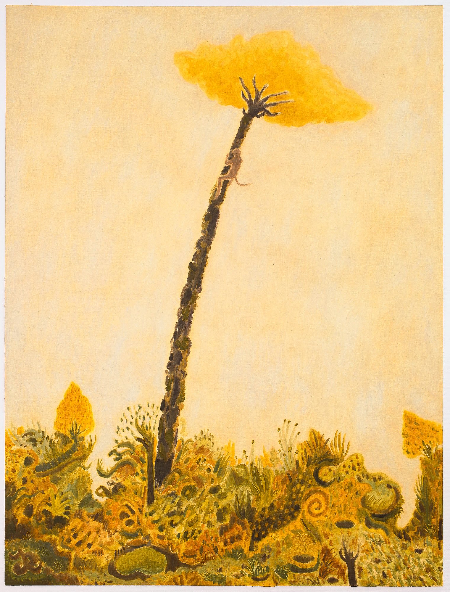 Joseph Dilnot_Returning to the Canopy by Joseph Dilnot - Joseph Dilnot_BlueShopGallery_WOP7_023.jpg