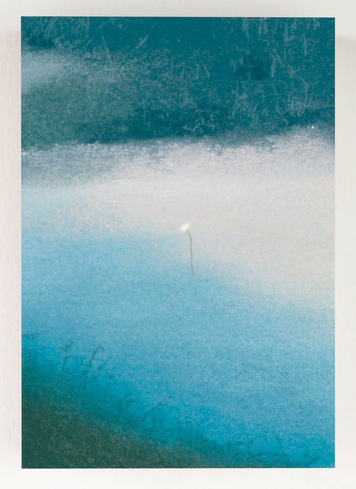 Soru Lee__Water Flower VII_ by Soru Lee 01 - Soru Lee_BlueShopGallery_WOP7_001.jpg