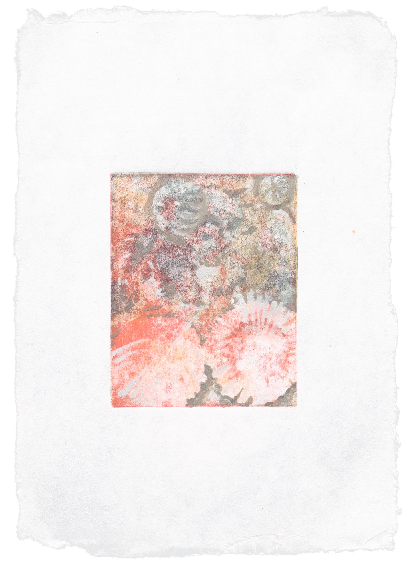 Liza Kelly_DaisiesIMay_GhostPrint_LizaKelly_2025 - Liza Kelly_BlueShopGallery_WOP7_006.jpg
